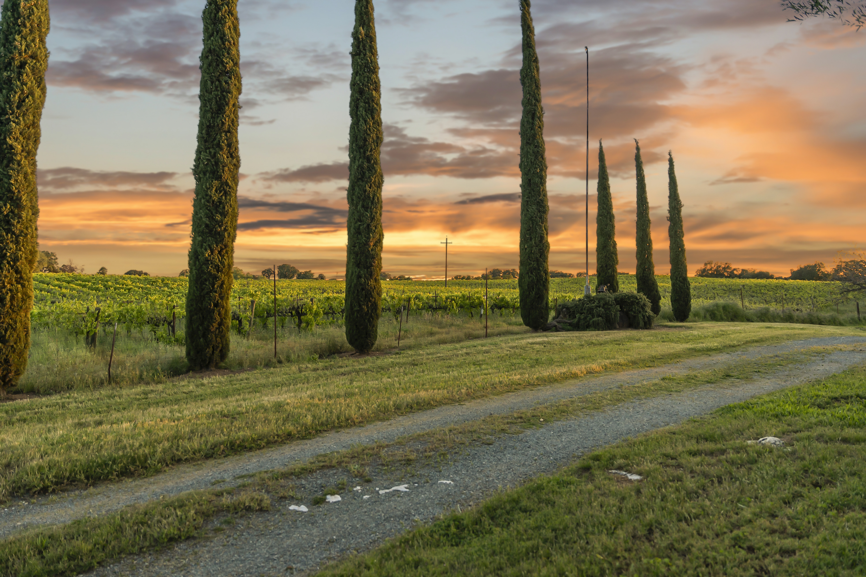  107 Acres - Seasonal Creek - Legacy - 物件實景