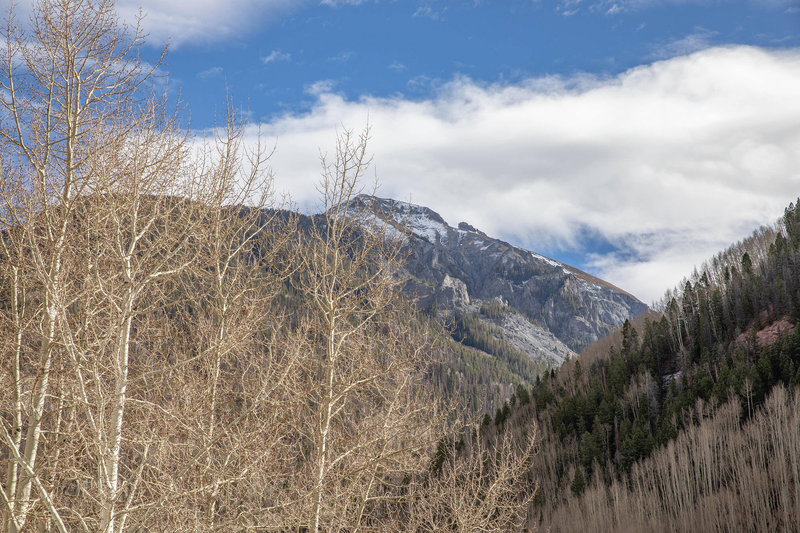 Telluride, Colorado, 81435, United States, 2 Bedrooms Bedrooms, ,1 BathroomBathrooms,Residential,For Sale,1990312