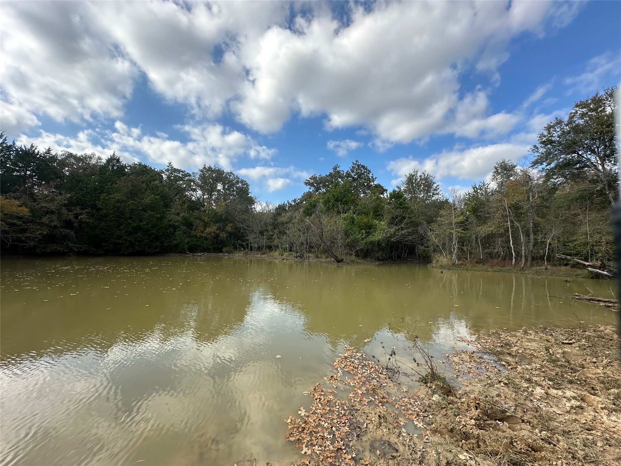 Thornton, Texas, 76687, United States, ,Land,For Sale,1995546