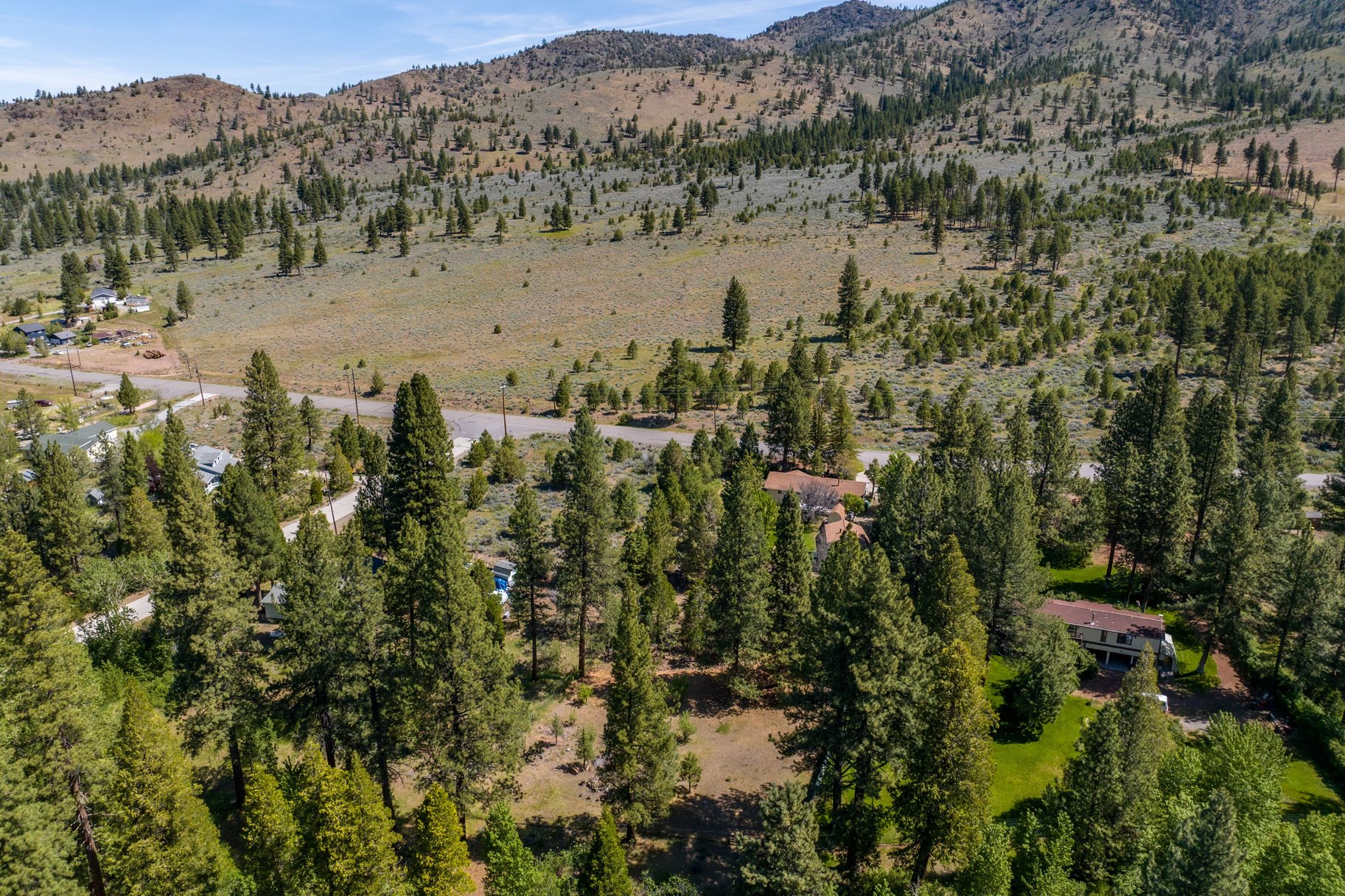  Sweet home on 1.24 acres in Sierra Brooks - 物件實景