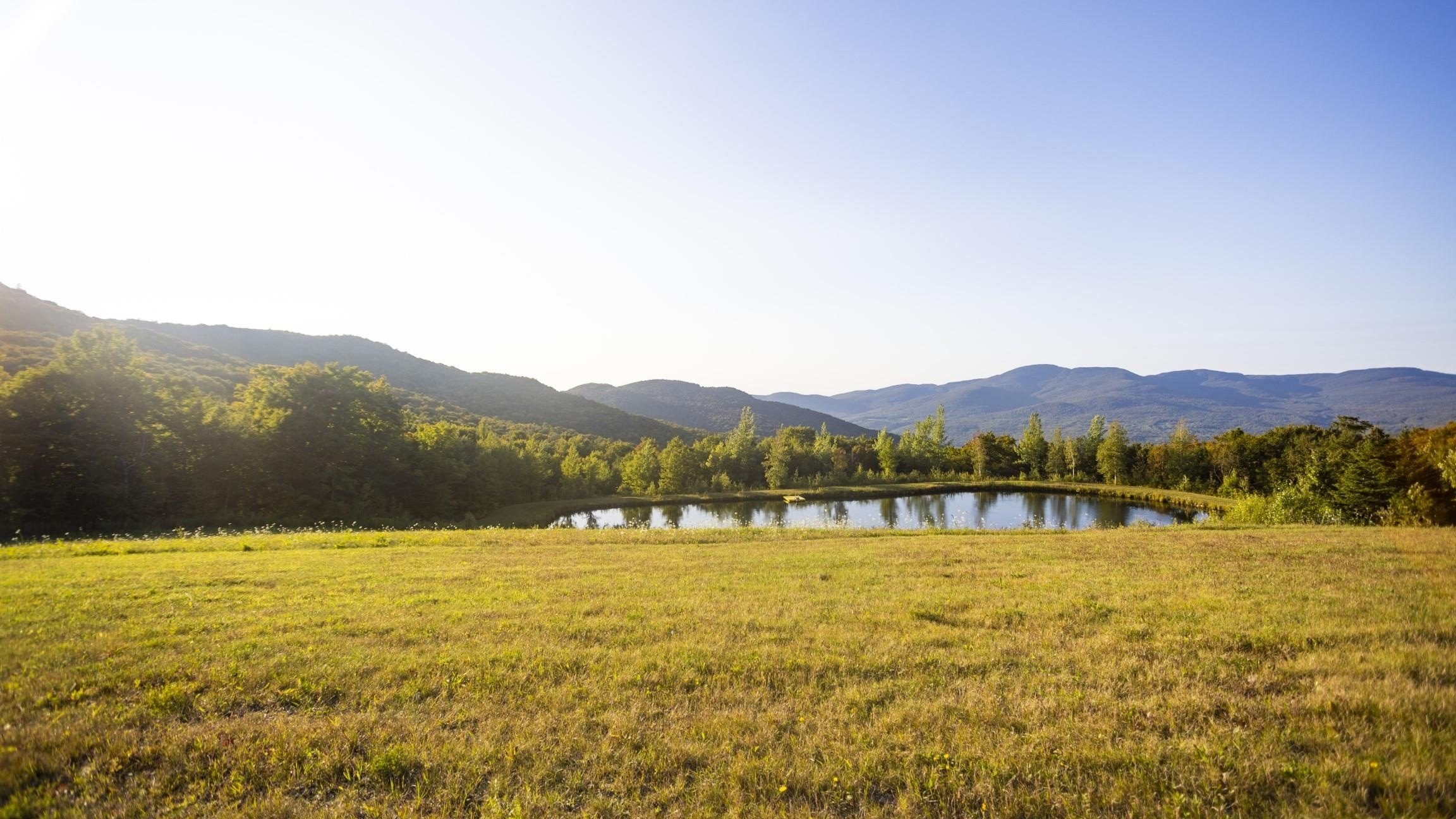 Jay, Vermont, 05859, United States, ,Land,For Sale,1999221