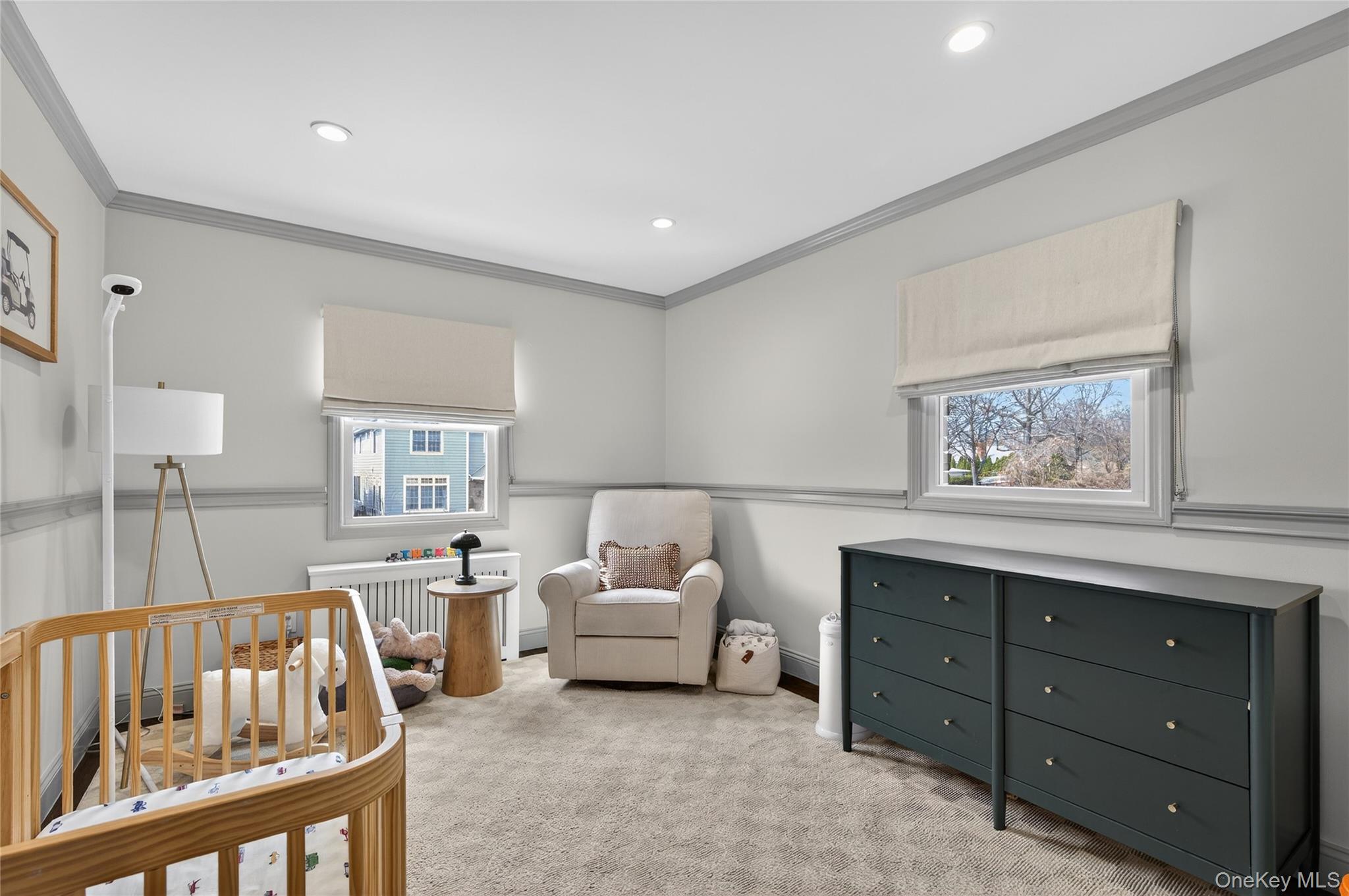  21 Roosevelt Drive, East Norwich, NY, 11732 - 物件實景