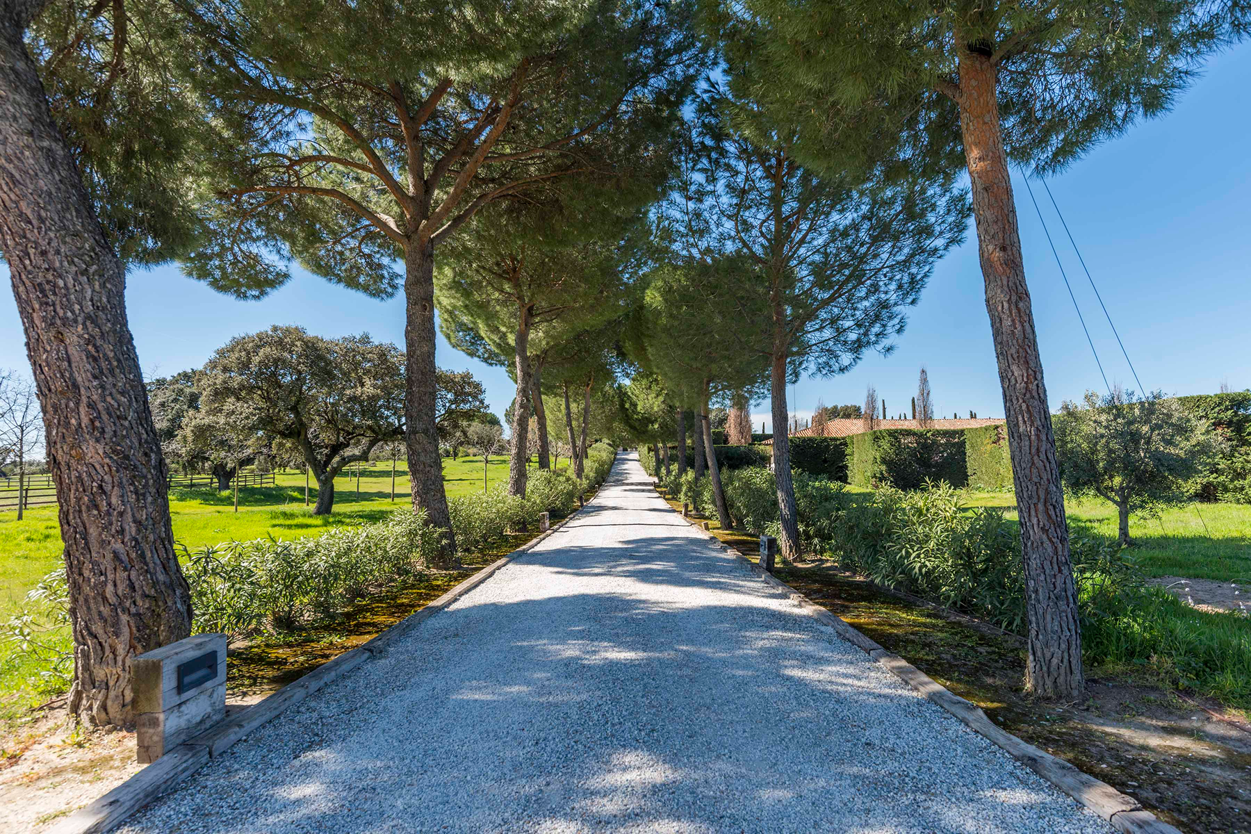 Equestrian estate: Elegance, nature, and horses at the gates of Madrid - 物件實景