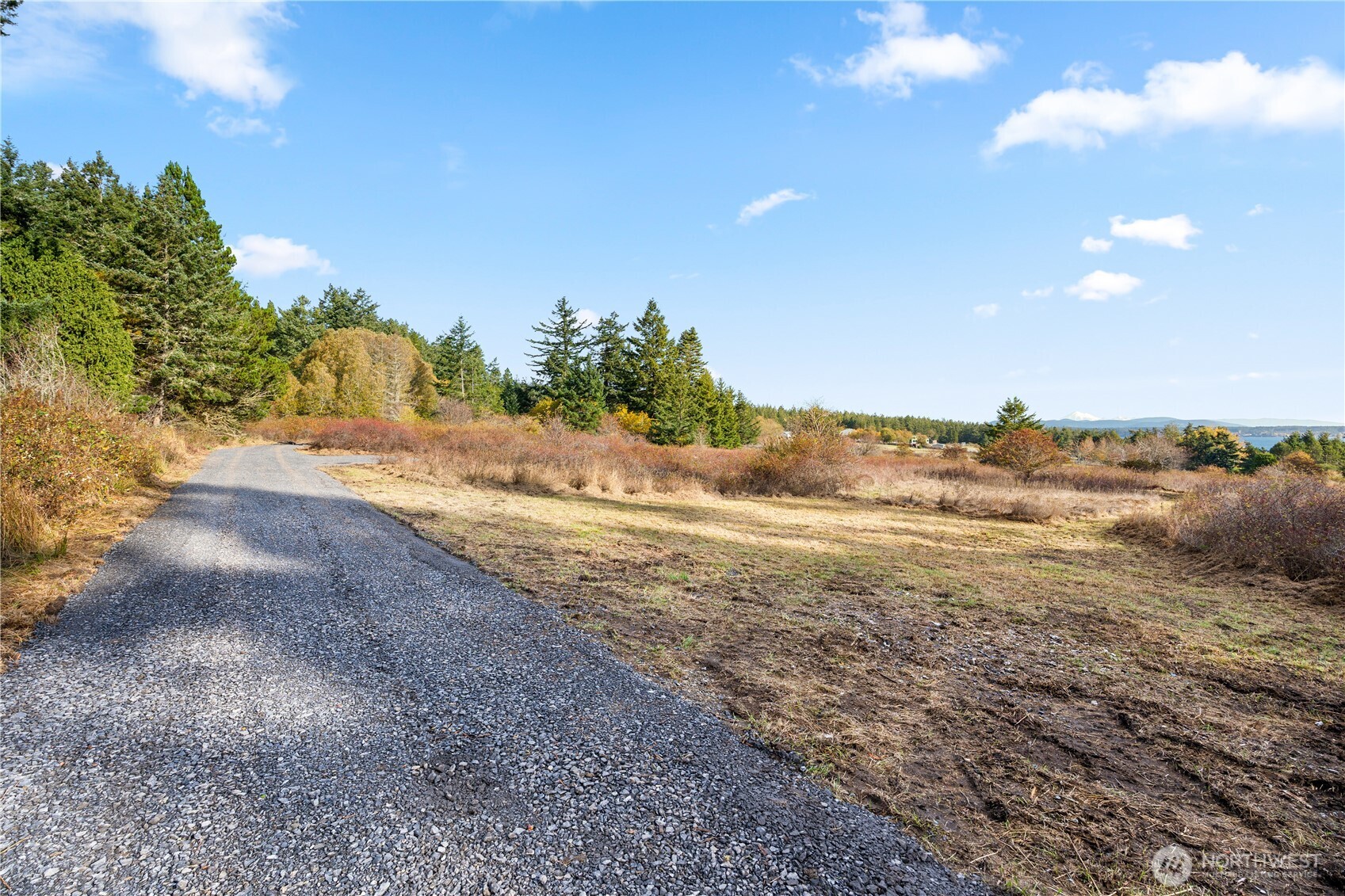 Friday Harbor, Washington, 98250, United States, ,Land,For Sale,1991931