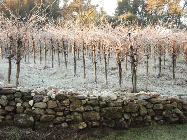 O Neals, California, 93645, United States, 3 Bedrooms Bedrooms, ,2 BathroomsBathrooms,Residential,For Sale,1981771