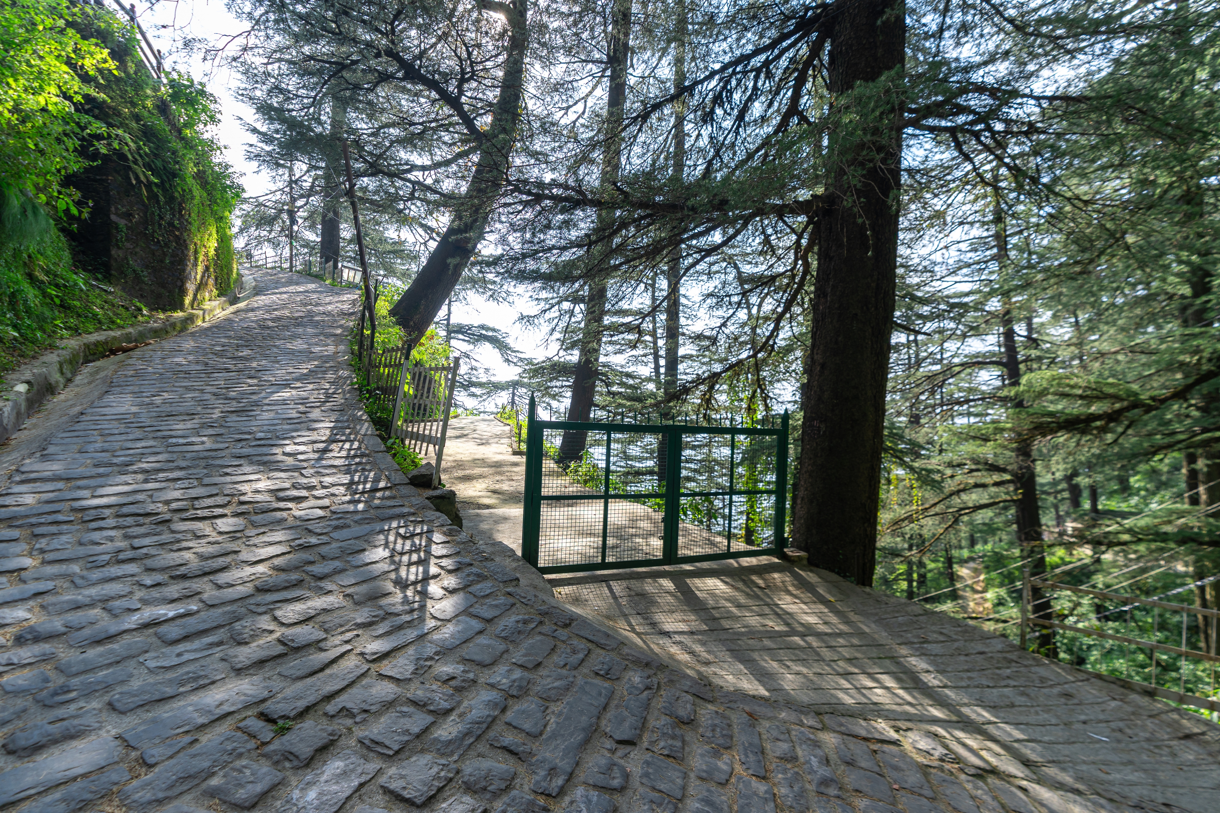  A Rare Colonial Estate in Shimla - 物件實景