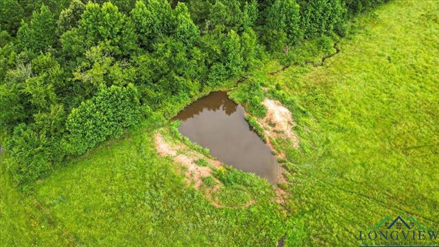 Henderson, Texas, 75654, United States, ,Land,For Sale,1885334