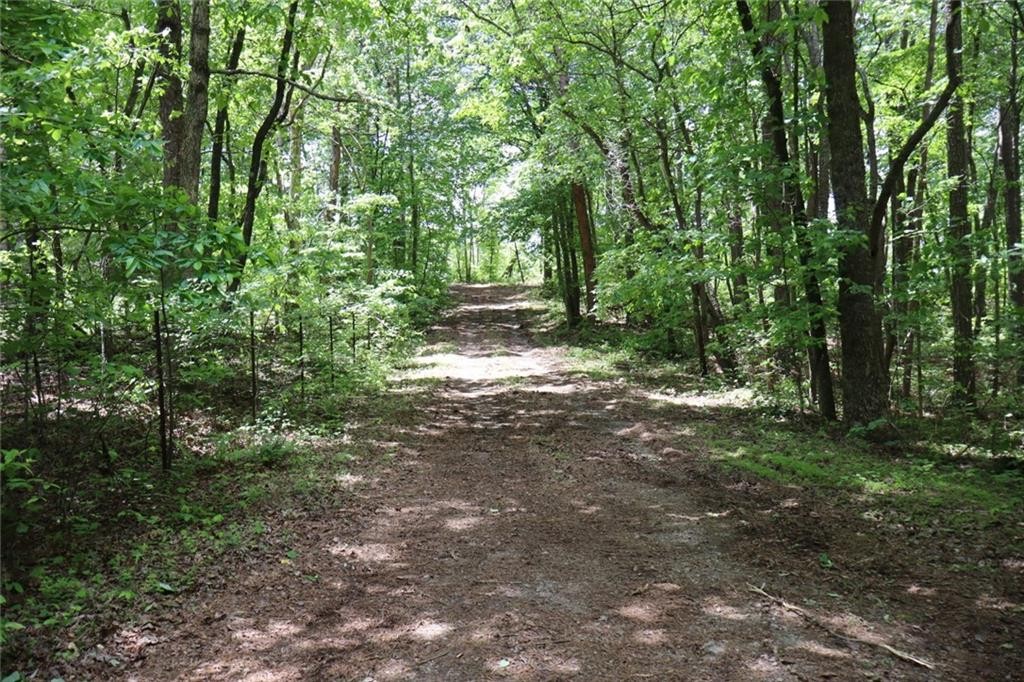 Ellijay, Georgia, 30540, United States, ,Residential,For Sale,1881390