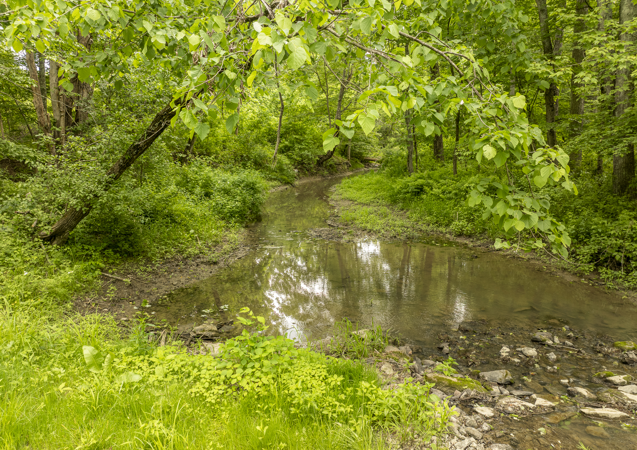  Extraordinary 34.5-Acre Hudson Valley Estate Site Near Rhinebeck - 物件實景