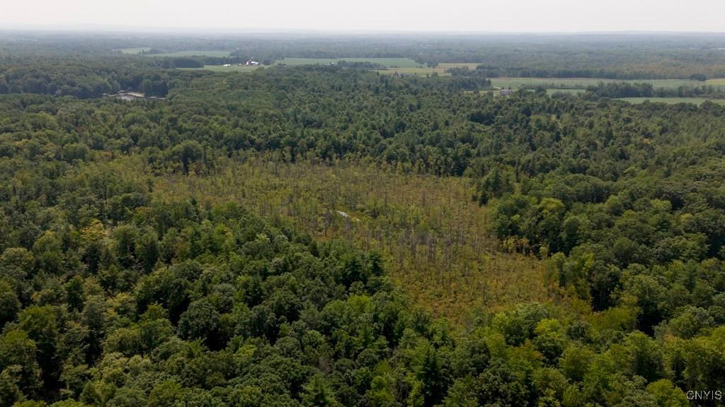 00 Cr-12, Pennellville, New York, 13132, United States, ,Land,For Sale,00 Cr-12,1621343