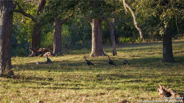 Kingsbury, Texas, 78638, United States, ,3 BathroomsBathrooms,Residential,For Sale,2005147