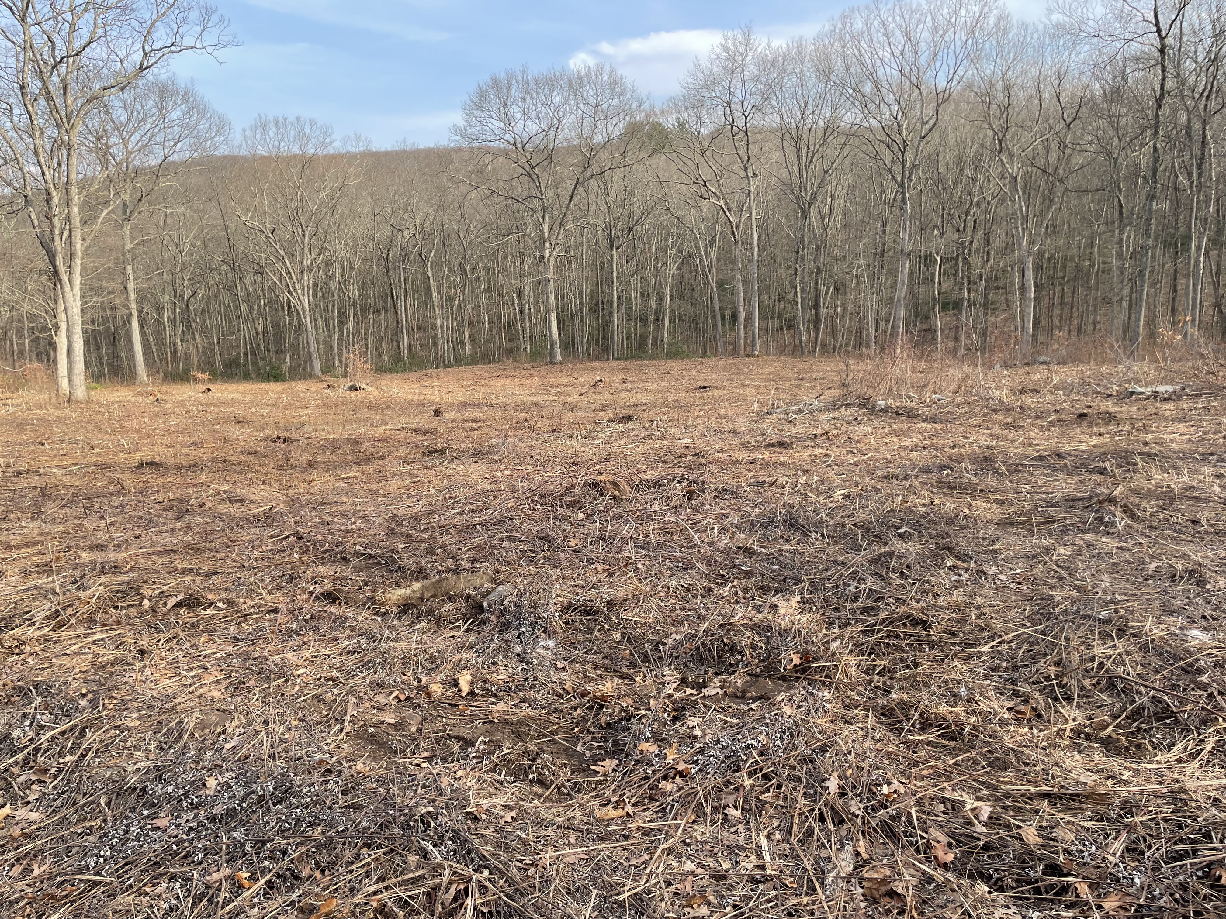  197 Tinker Hill Road - 物件實景