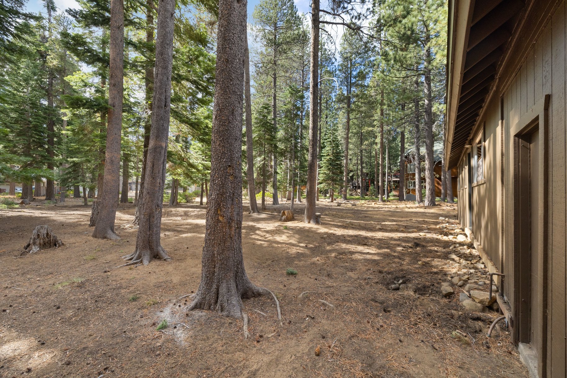  Charming Tahoe Cabin Beside Forest Service Land—Your Mountain Getaway Awaits - 物件實景