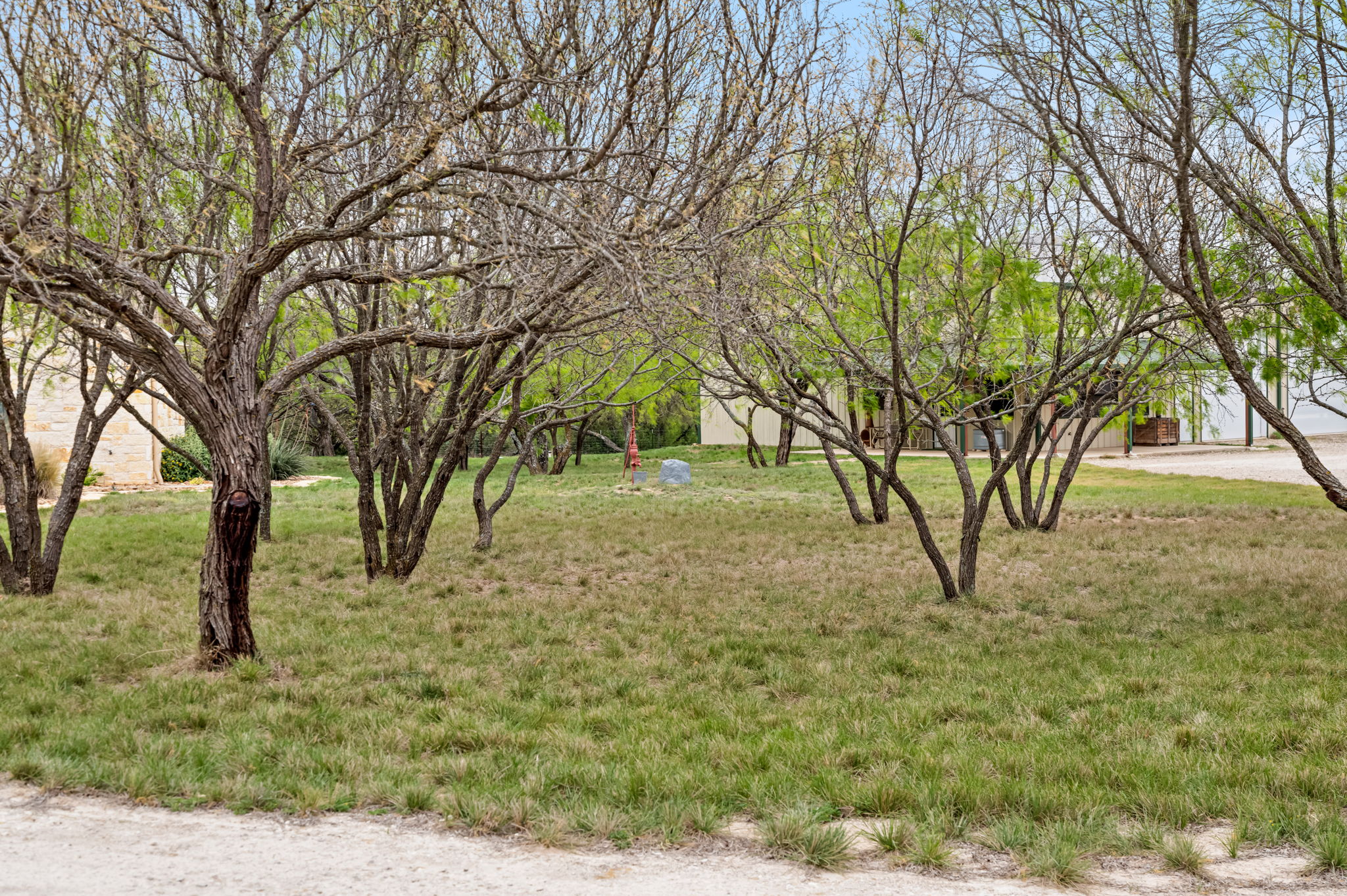  Perfect Blend of Comfort, Functionality and Hill Country Charm - 物件實景