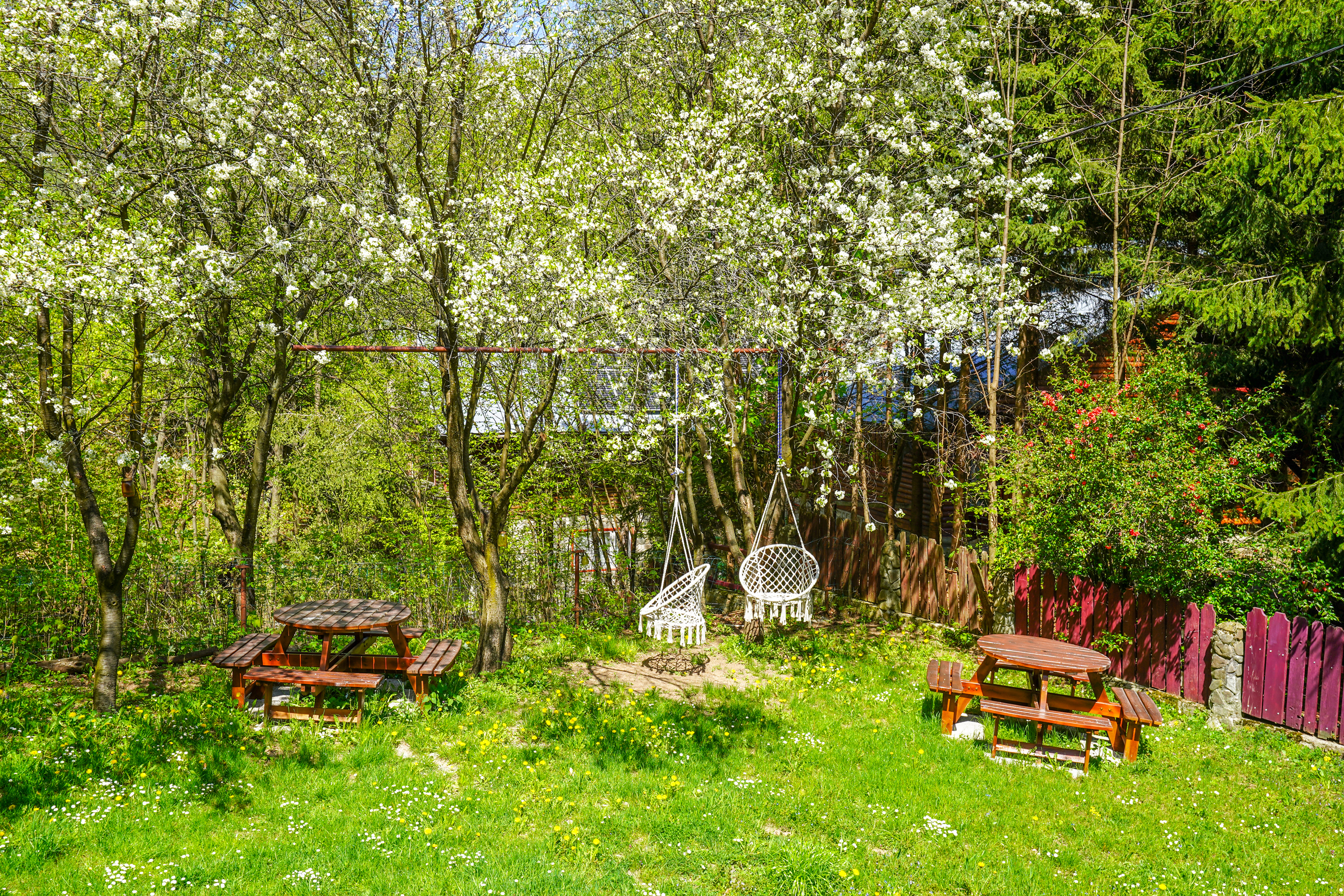  ?Casa Tisaru? - A Versatile Retreat in the Heart of Nature - 物件實景