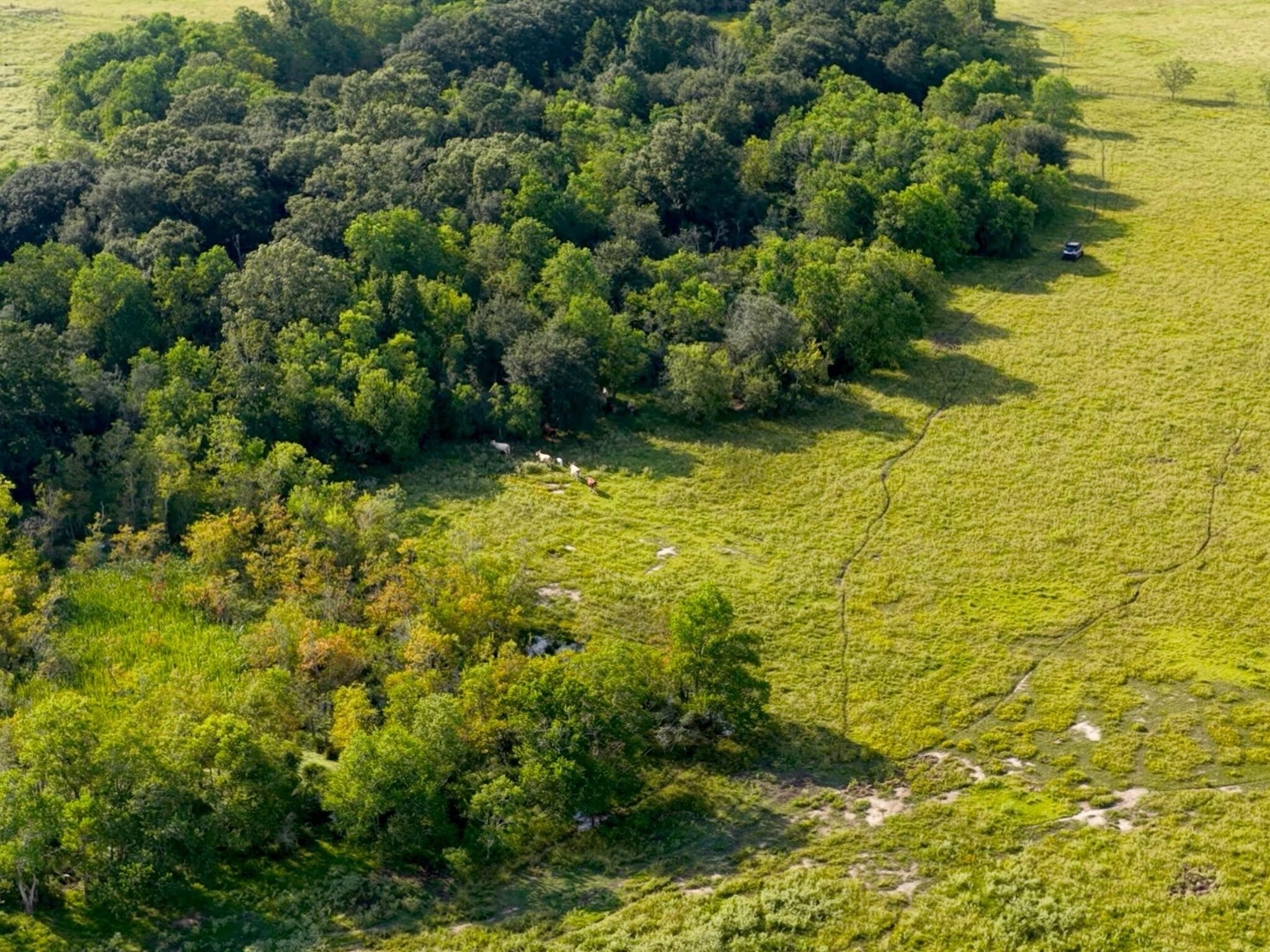 Anahuac, Texas, 77514, United States, ,Land,For Sale,1947447