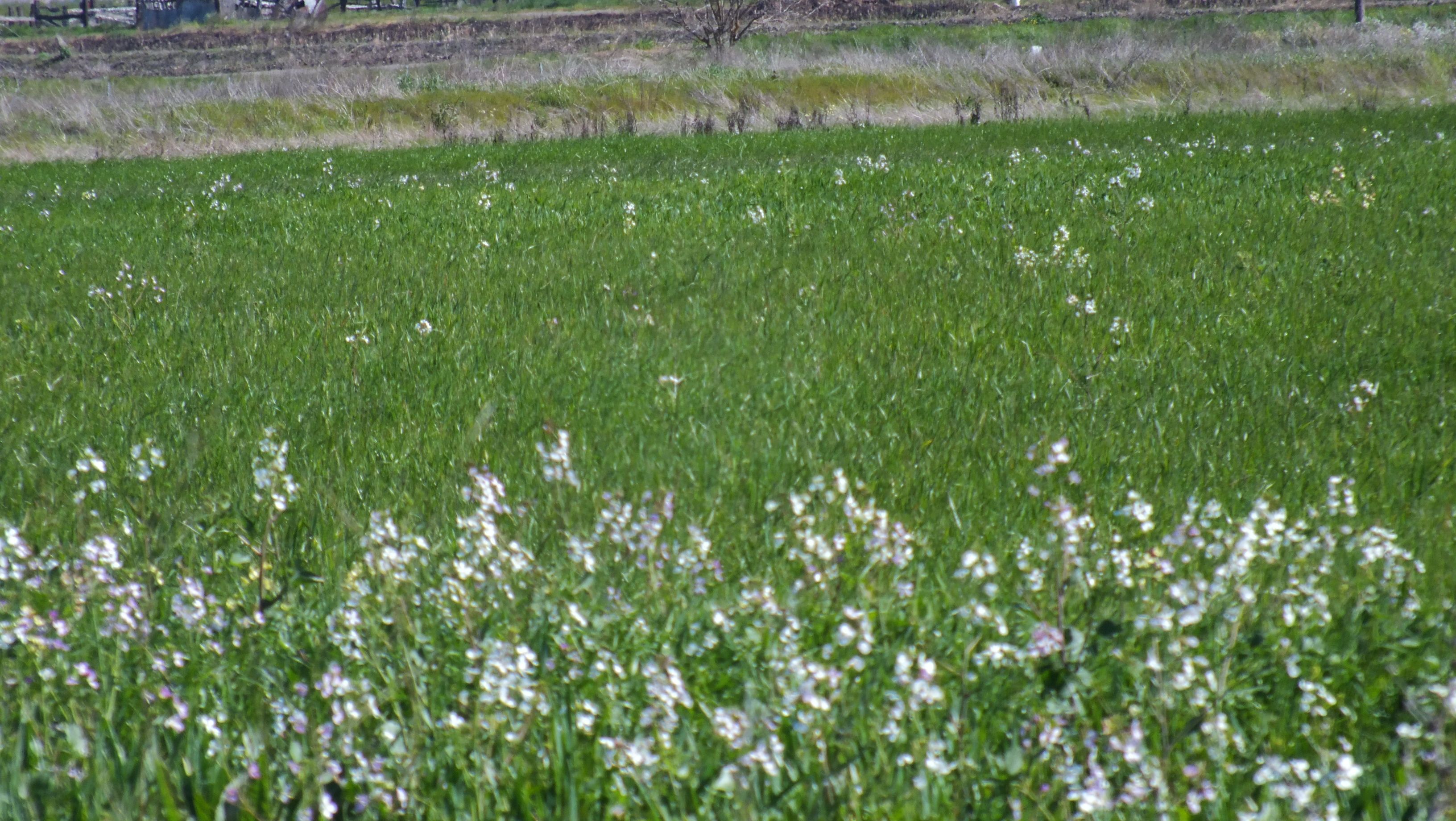 ObjectPhoto16