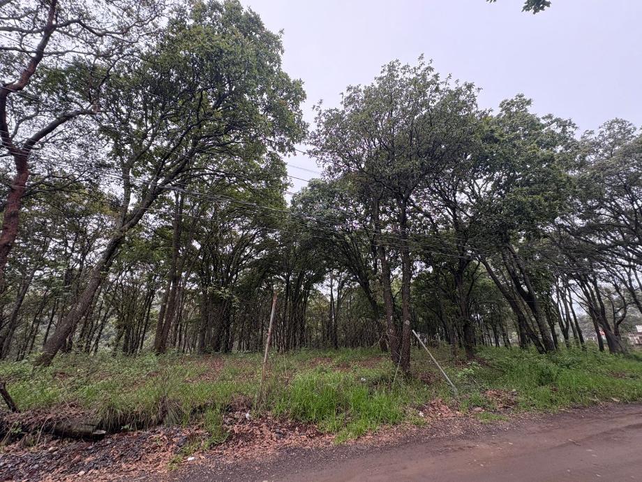 Jilotzingo, Estado de méxico, 54570, Mexico, 1 Bedroom Bedrooms, ,Residential,For Sale,1918707