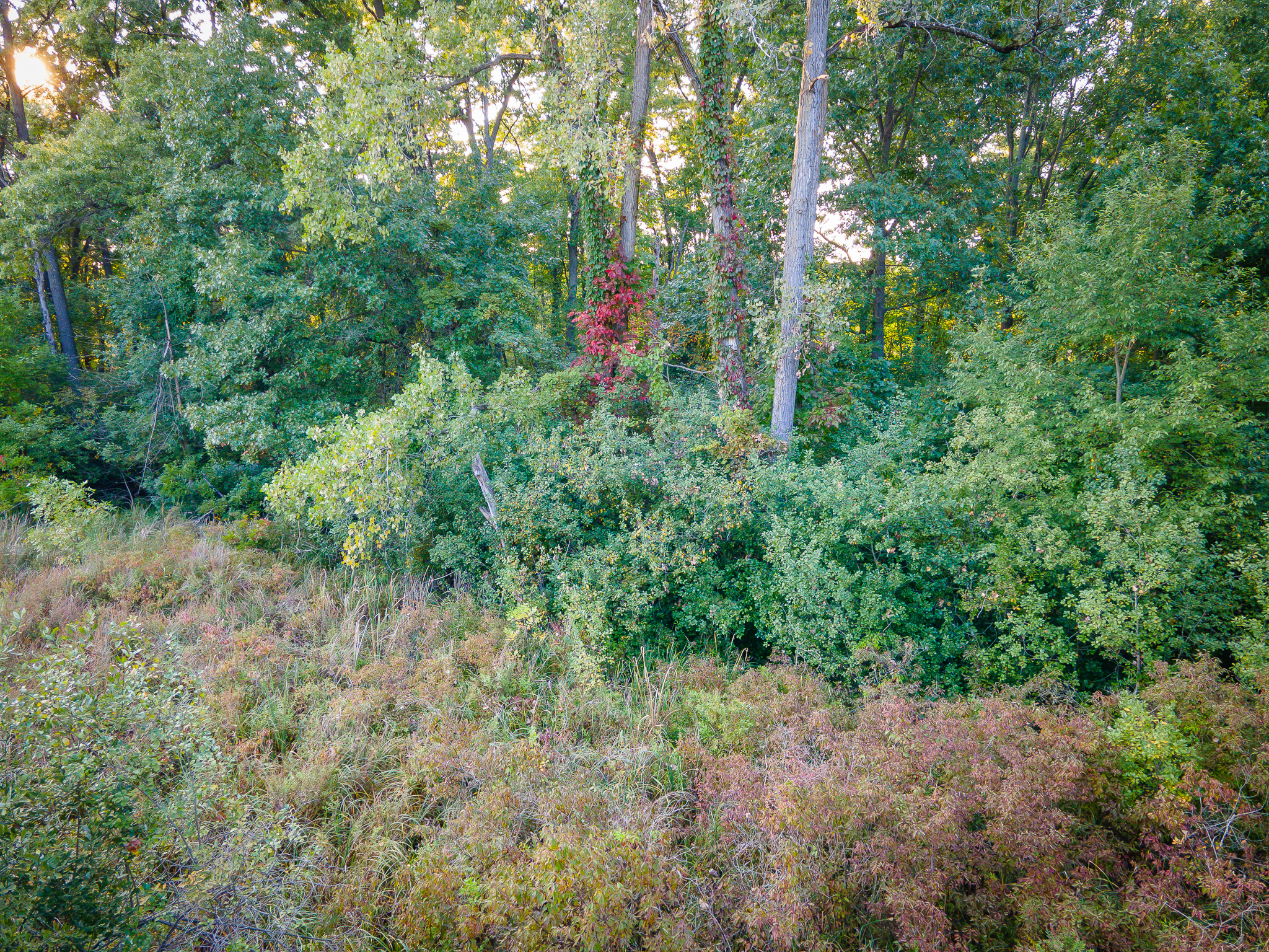 Jackson, Michigan, 49201, United States, 4 Bedrooms Bedrooms, ,2 BathroomsBathrooms,Residential,For Sale,1981022