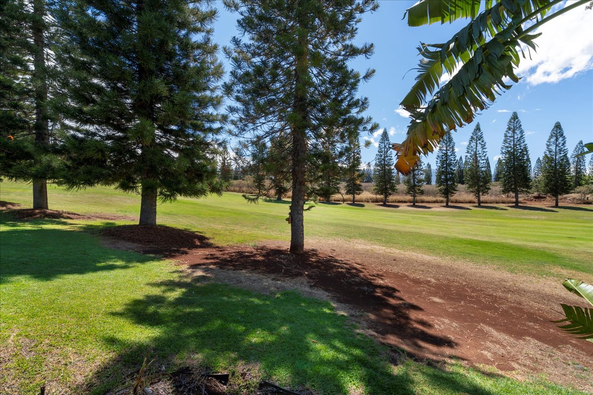 Makawao, Hawaii, 96768, United States, 3 Bedrooms Bedrooms, ,3 BathroomsBathrooms,Residential,For Sale,1973898