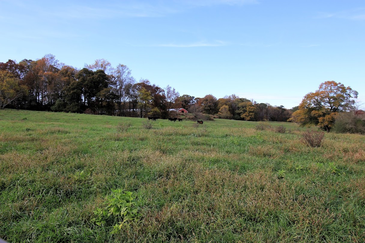 Bowdon, Georgia, 30108, United States, ,Land,For Sale,1989904