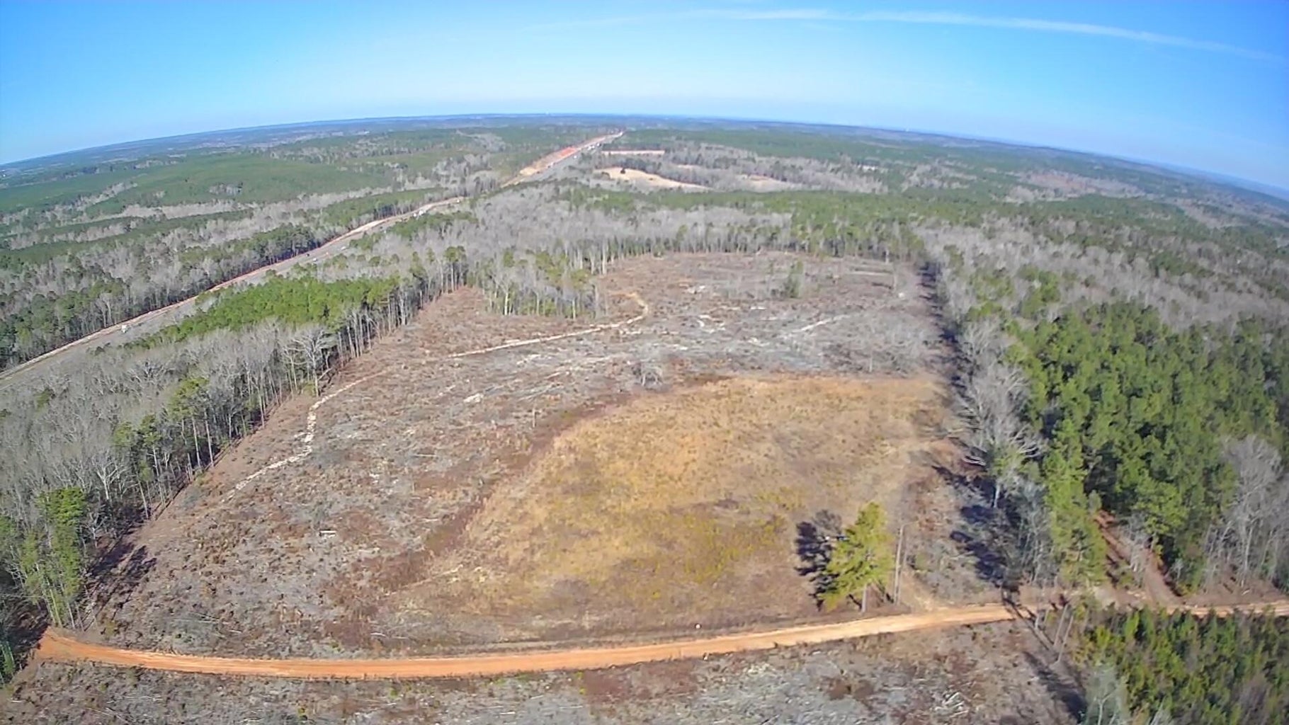 Saint Matthews, South Carolina, 29135, United States, ,Land,For Sale,1696953
