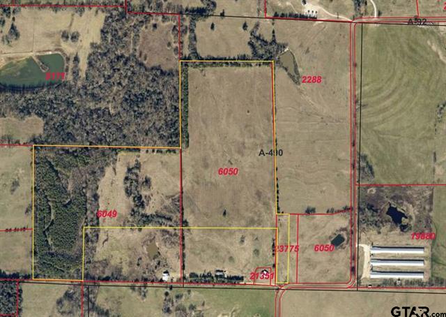 Mount Vernon, Texas, 75457, United States, ,Residential,For Sale,1998270