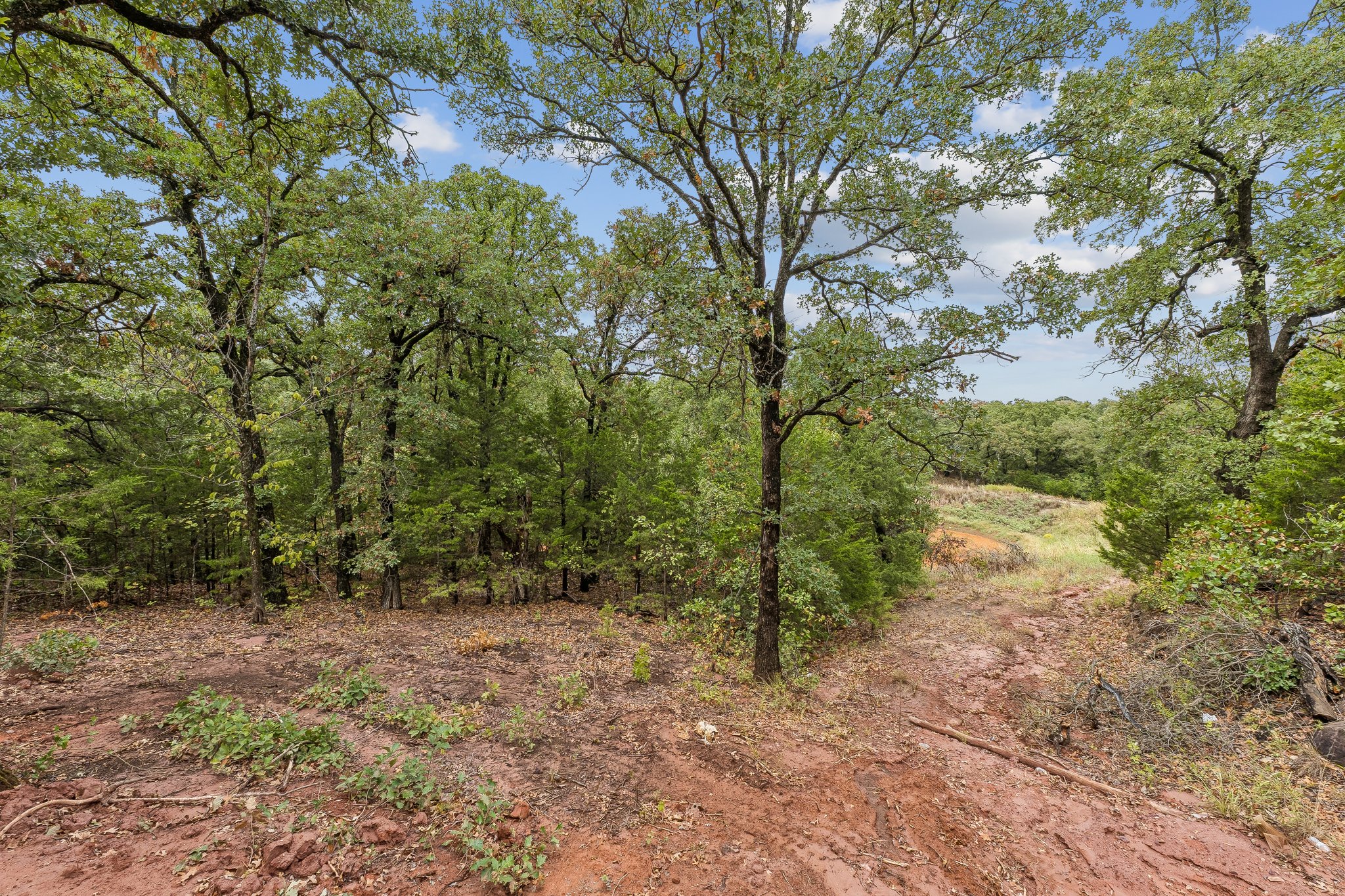  11917 Venando Court, Arcadia, OK 73007 - 物件實景