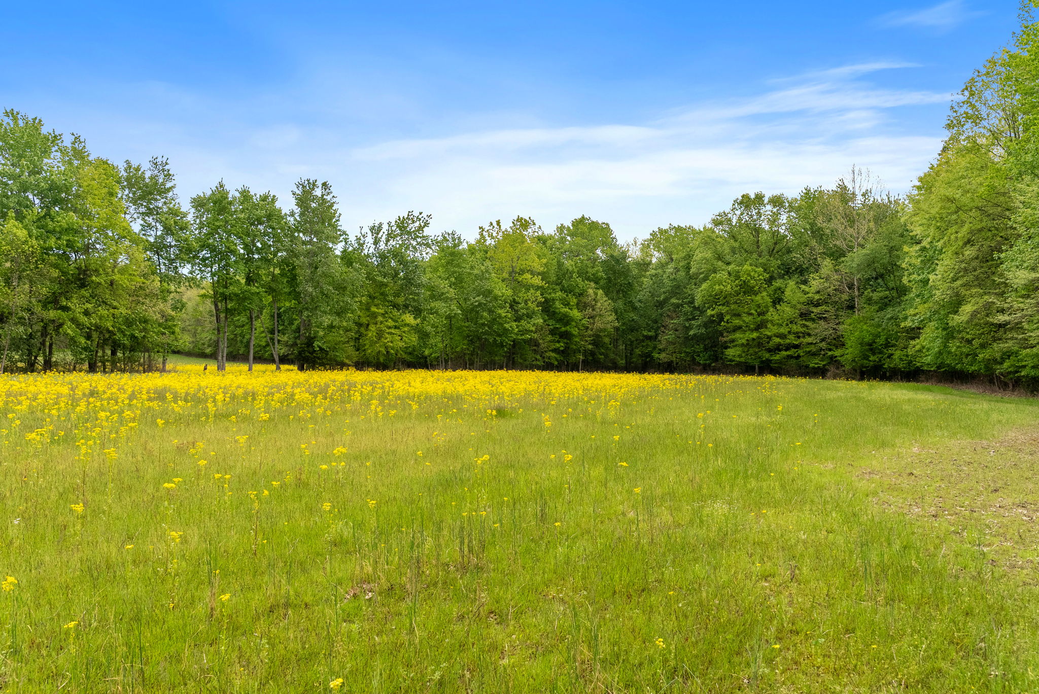 Rosedale, Indiana, 47874, United States, ,Land,For Sale,2049036