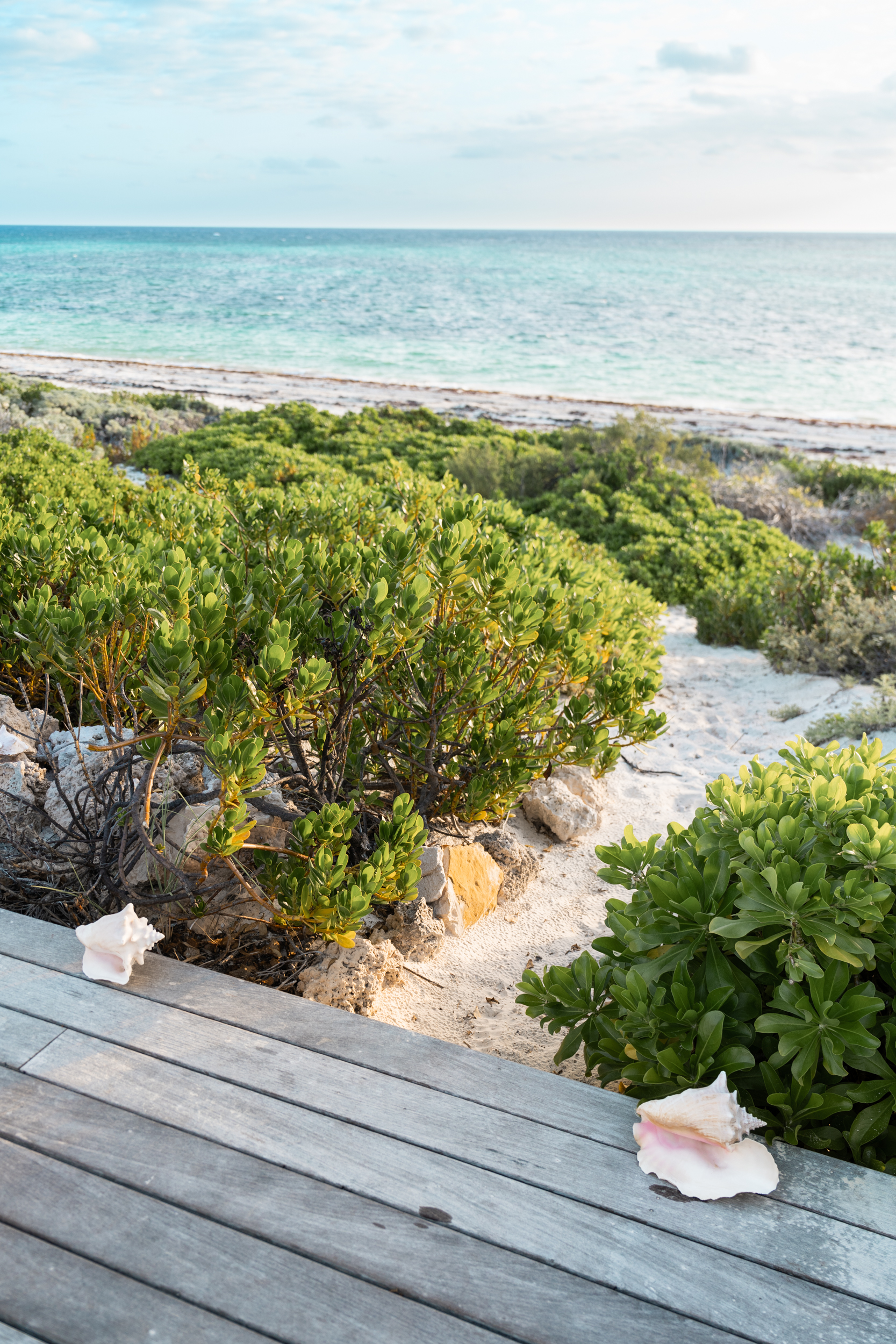  Sailrock Resort Beach Villa 3 - 物件實景