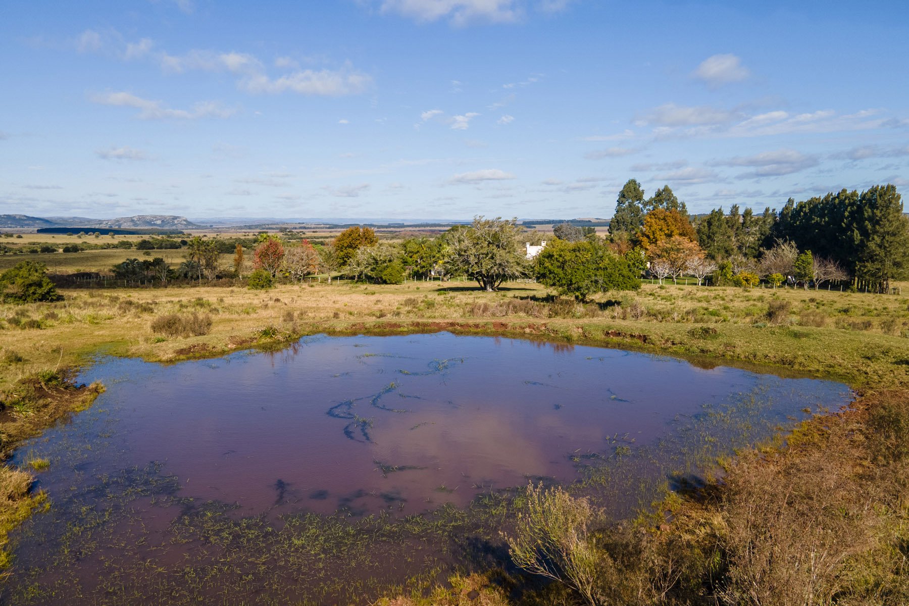  Excellent property in the Sierras. - 物件實景