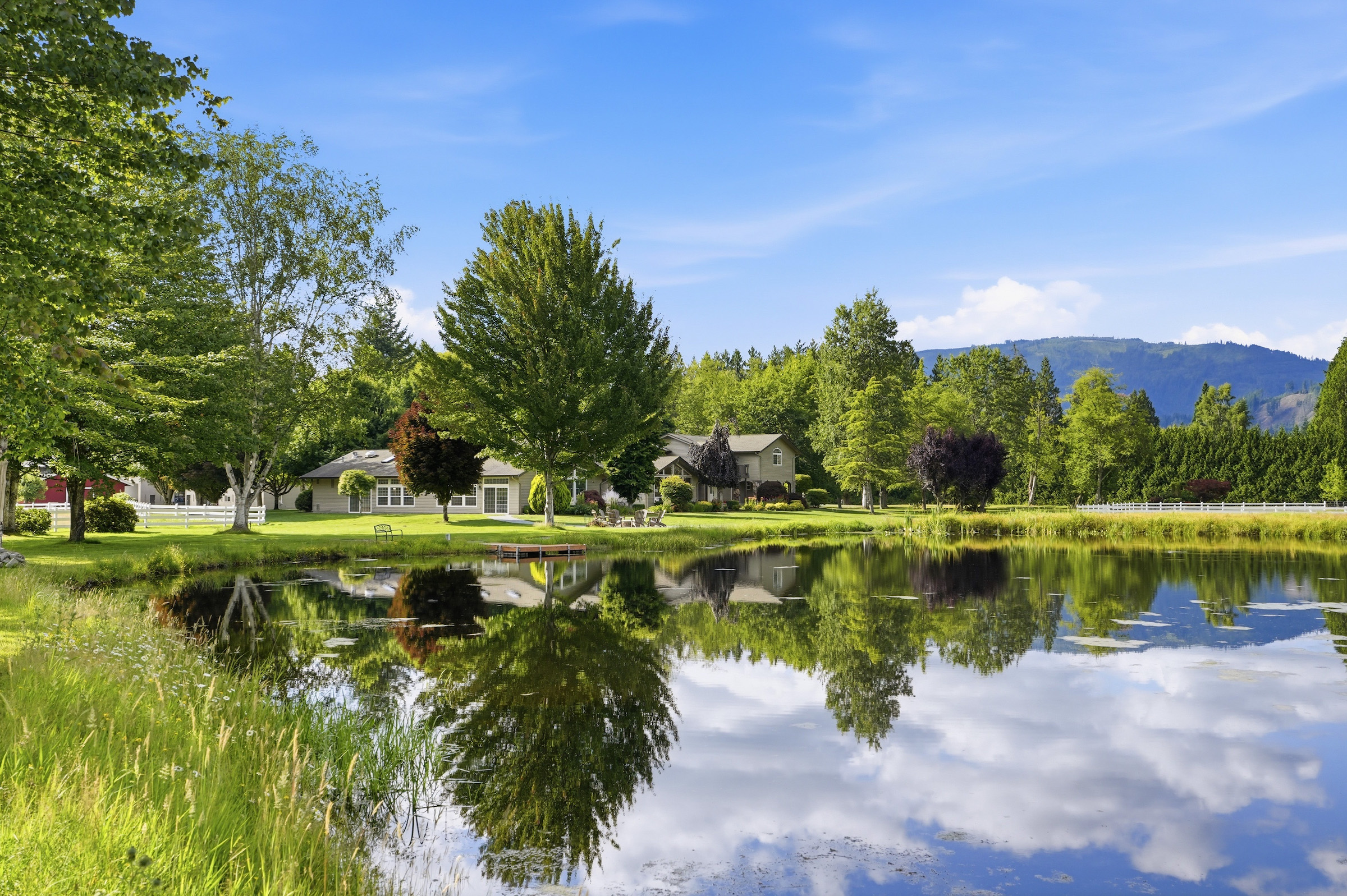  Welcome to Misty Mountain Ranch - 物件實景
