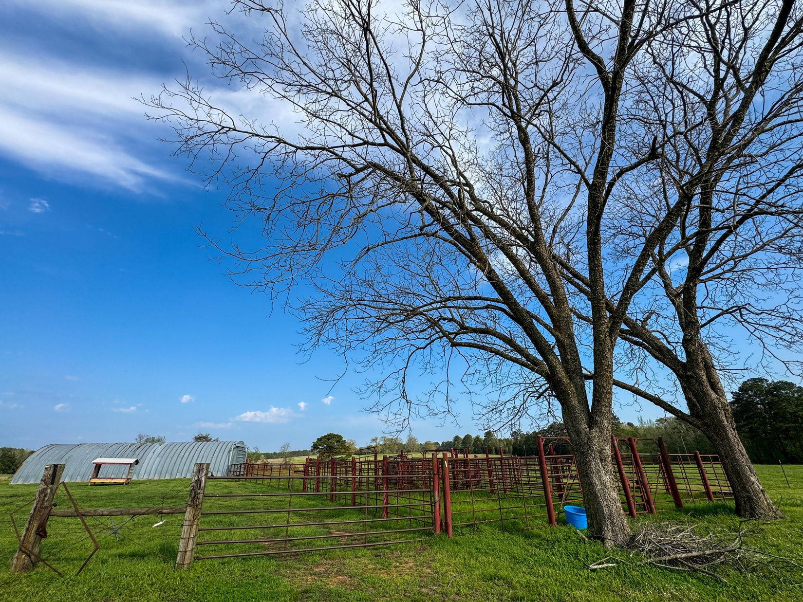 Bivins, Texas, 75555, United States, ,Residential,For Sale,1755933