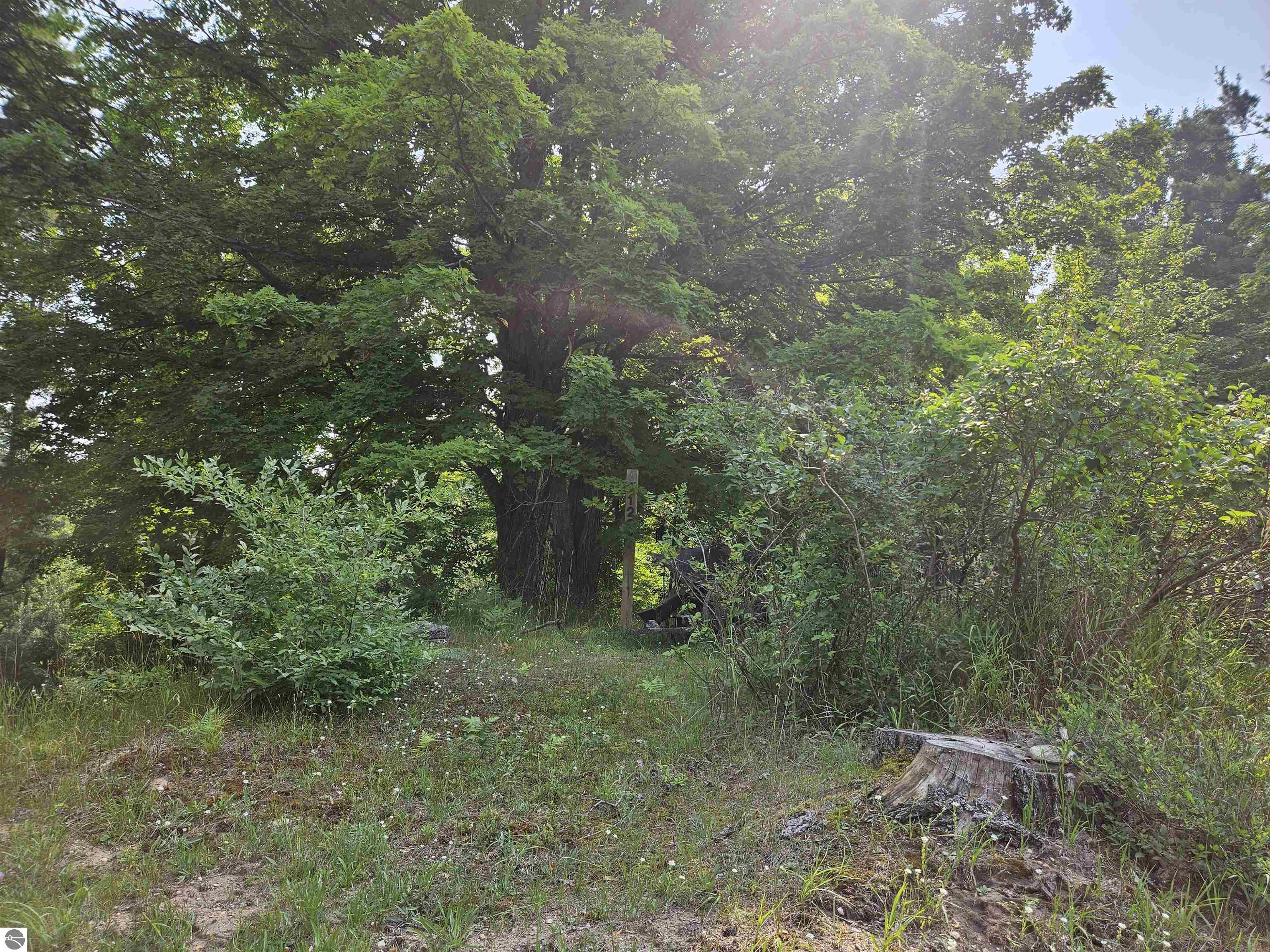 Williamsburg, Michigan, 49690, United States, ,Land,For Sale,1906031