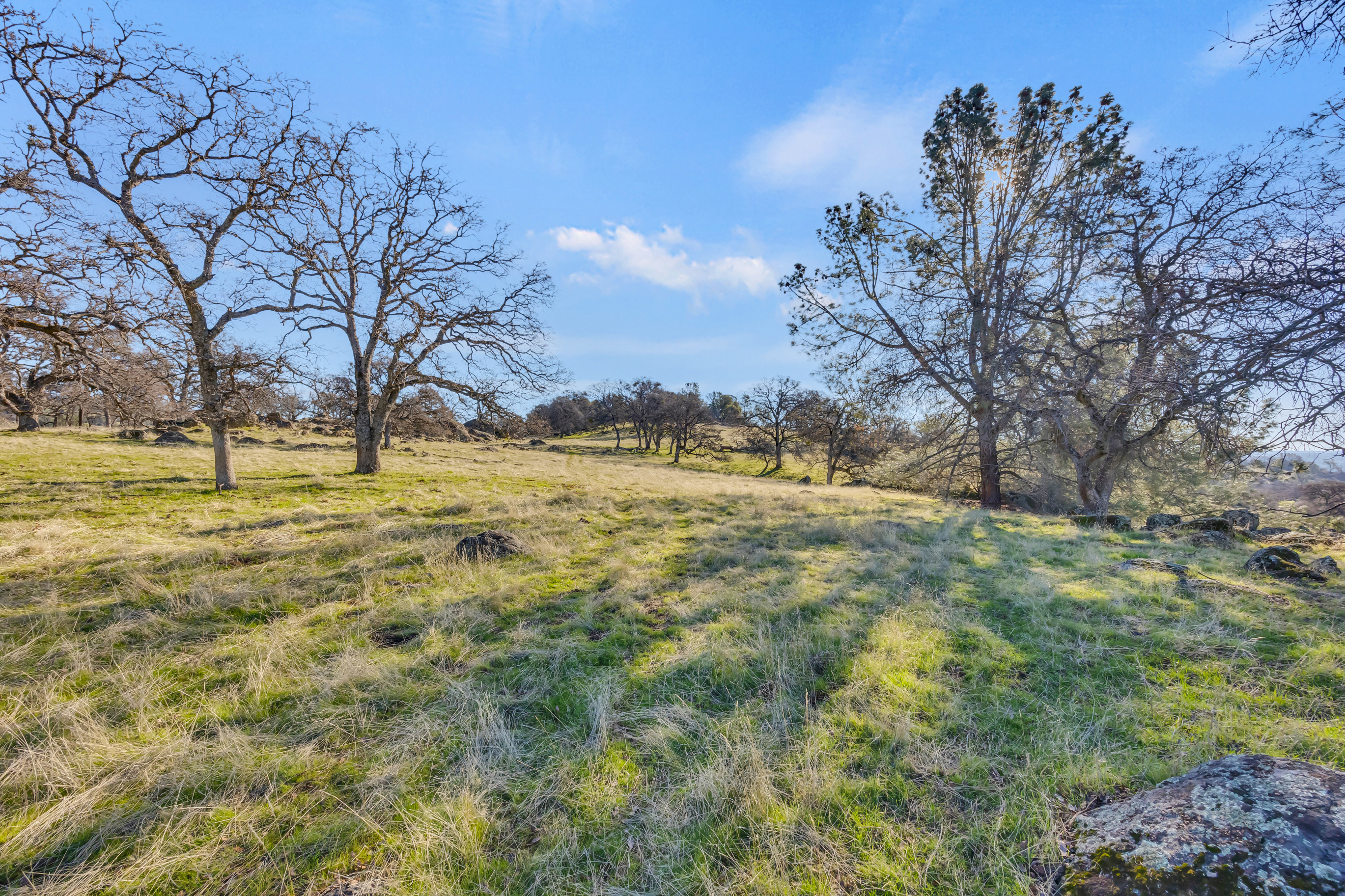  23443 Corino Way, Grass Valley, CA 95949 - 物件實景