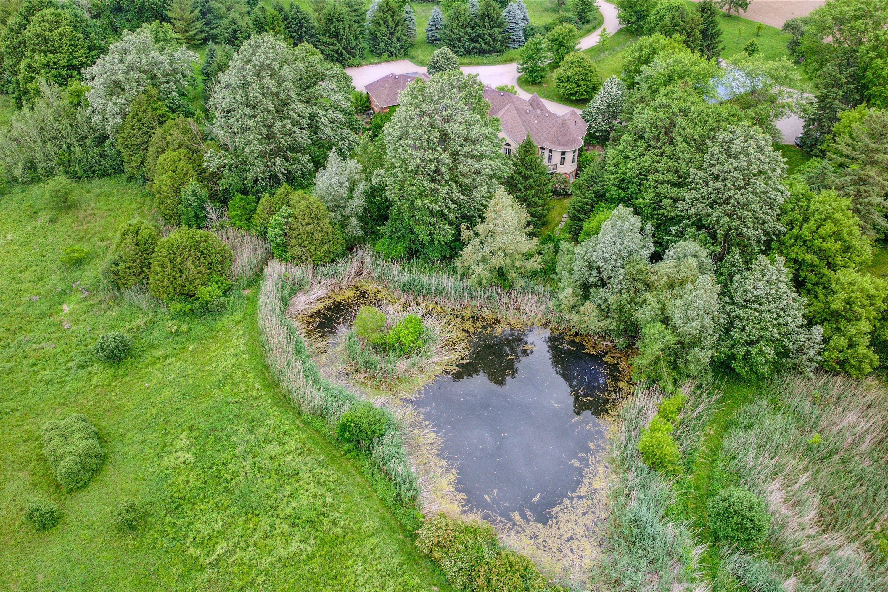  Expansive country living - 物件實景