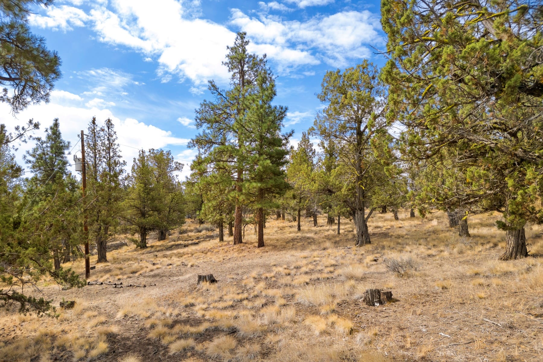  67439 Highway 20 Bend, OR 97703 - 物件實景