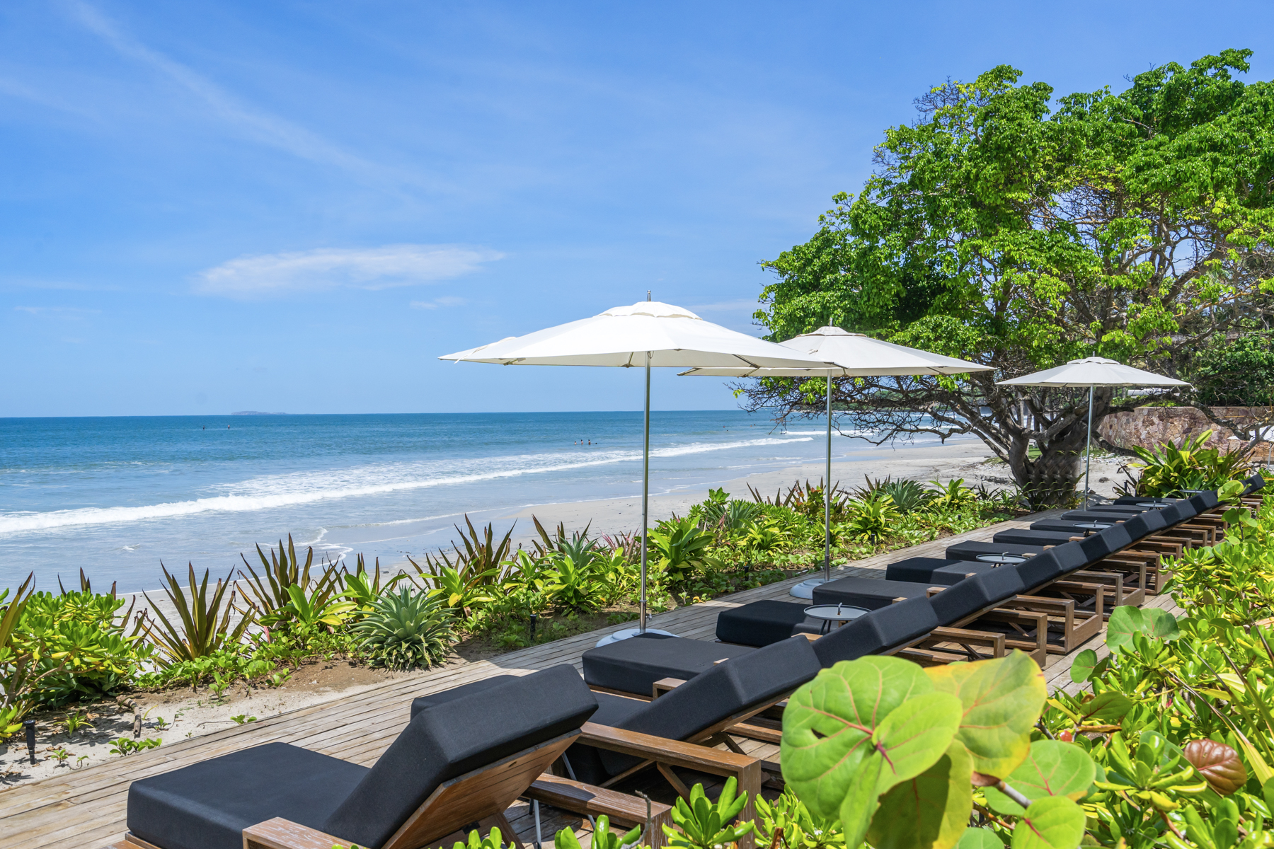  NAYA 2202  Contemporary Elegance by the Sea, La Cruz de Huanacaxtle - 物件實景