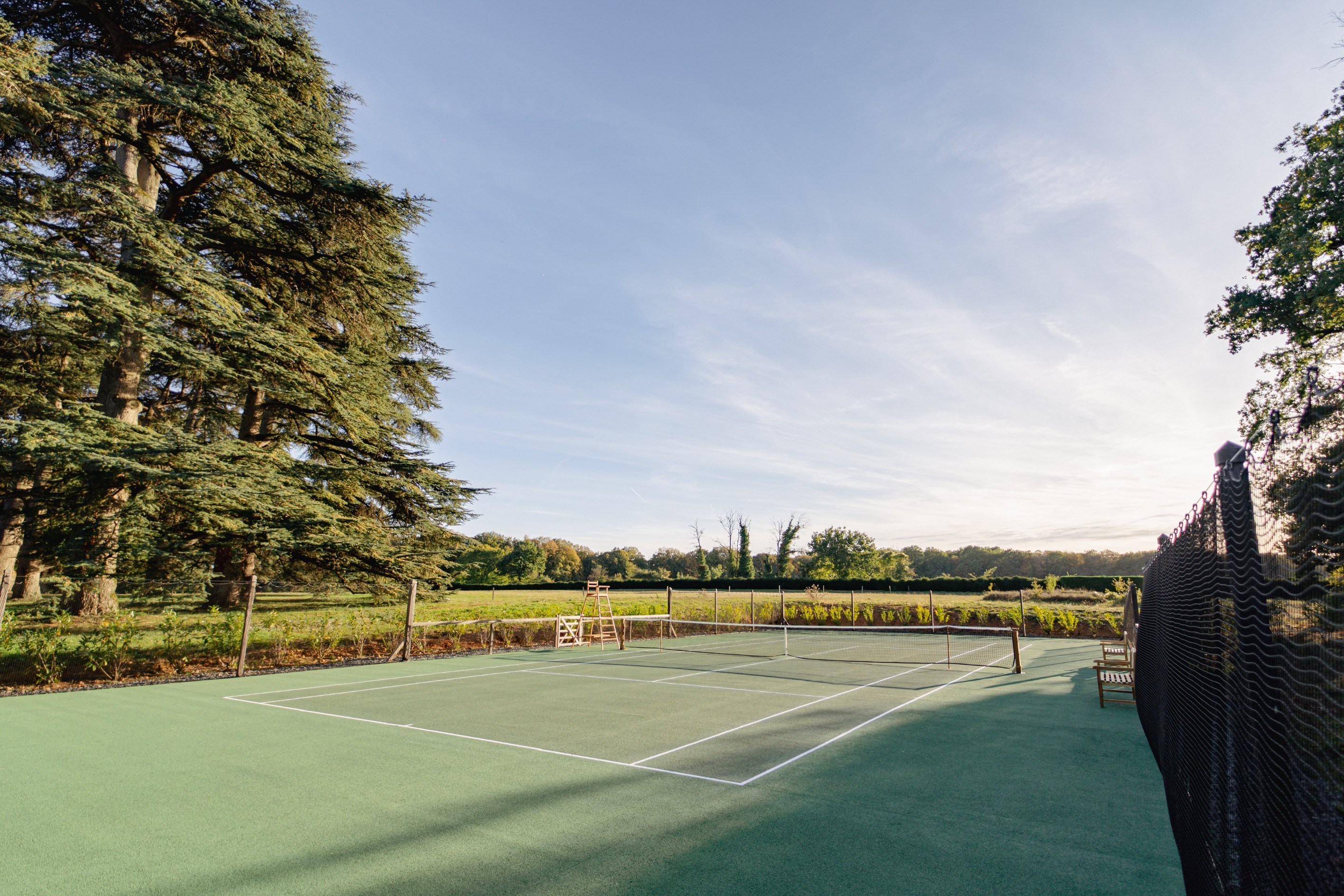  FOR SALE - Exceptional Estate with a Château - 30mn from POITIERS (TGV) - 物件實景