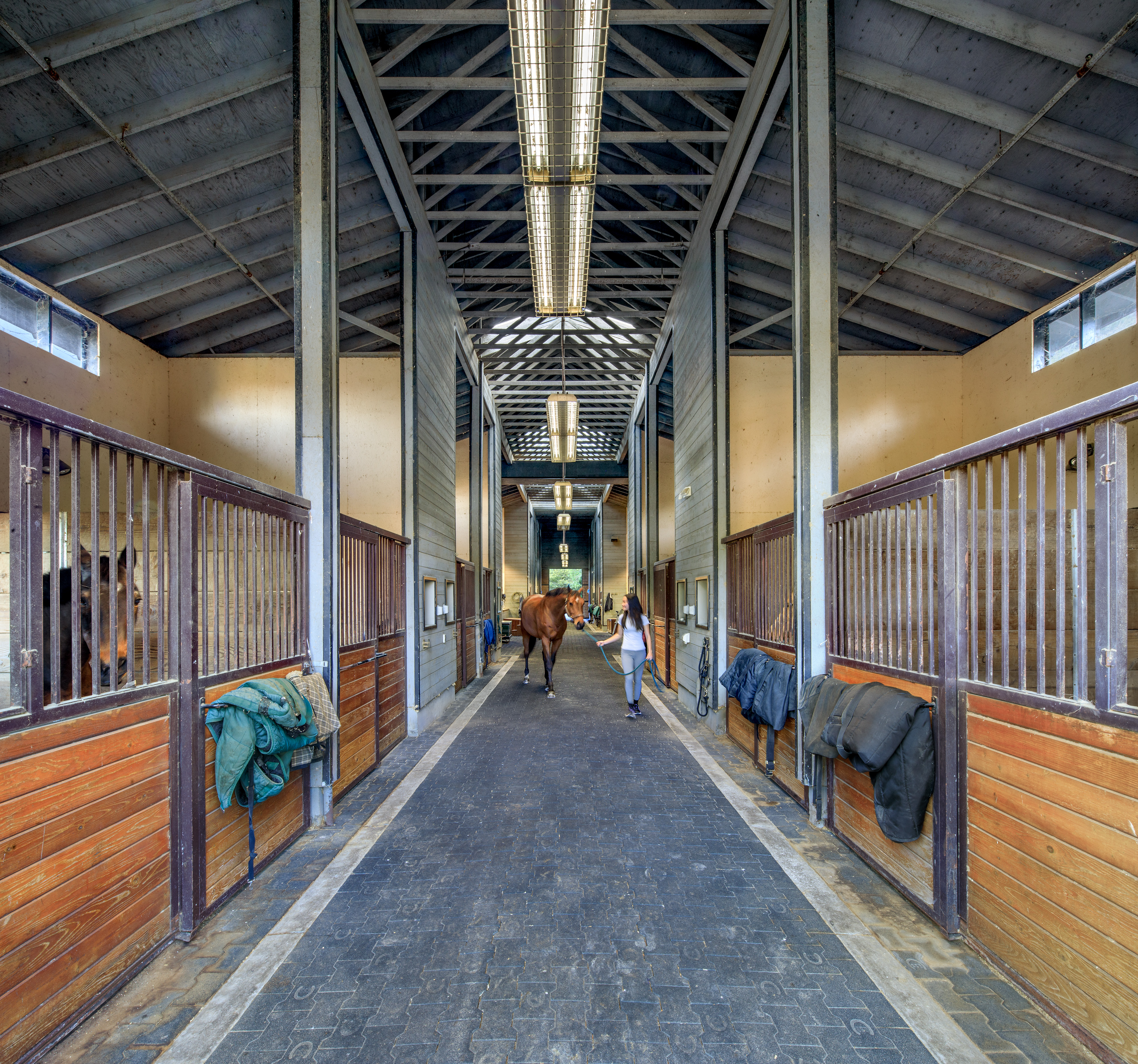  World-Class Equestrian Compound - 物件實景