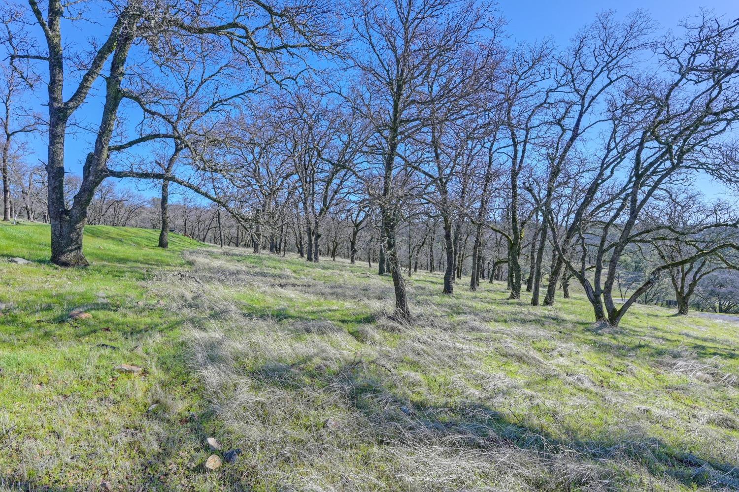 El Dorado Hills, California, 95762, United States, ,Land,For Sale,1709053