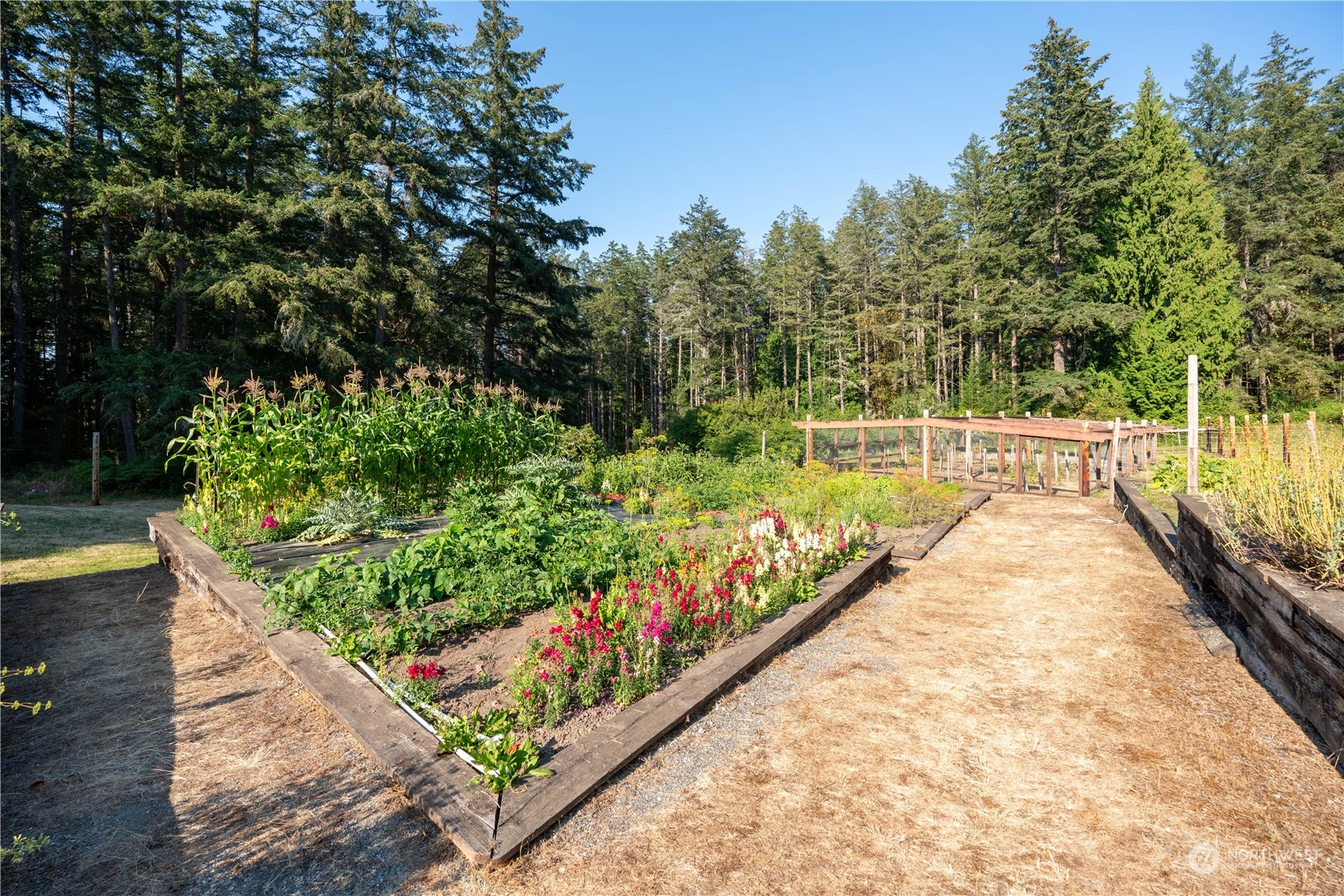 Friday Harbor, Washington, 98250, United States, 3 Bedrooms Bedrooms, ,1 BathroomBathrooms,Residential,For Sale,1866576