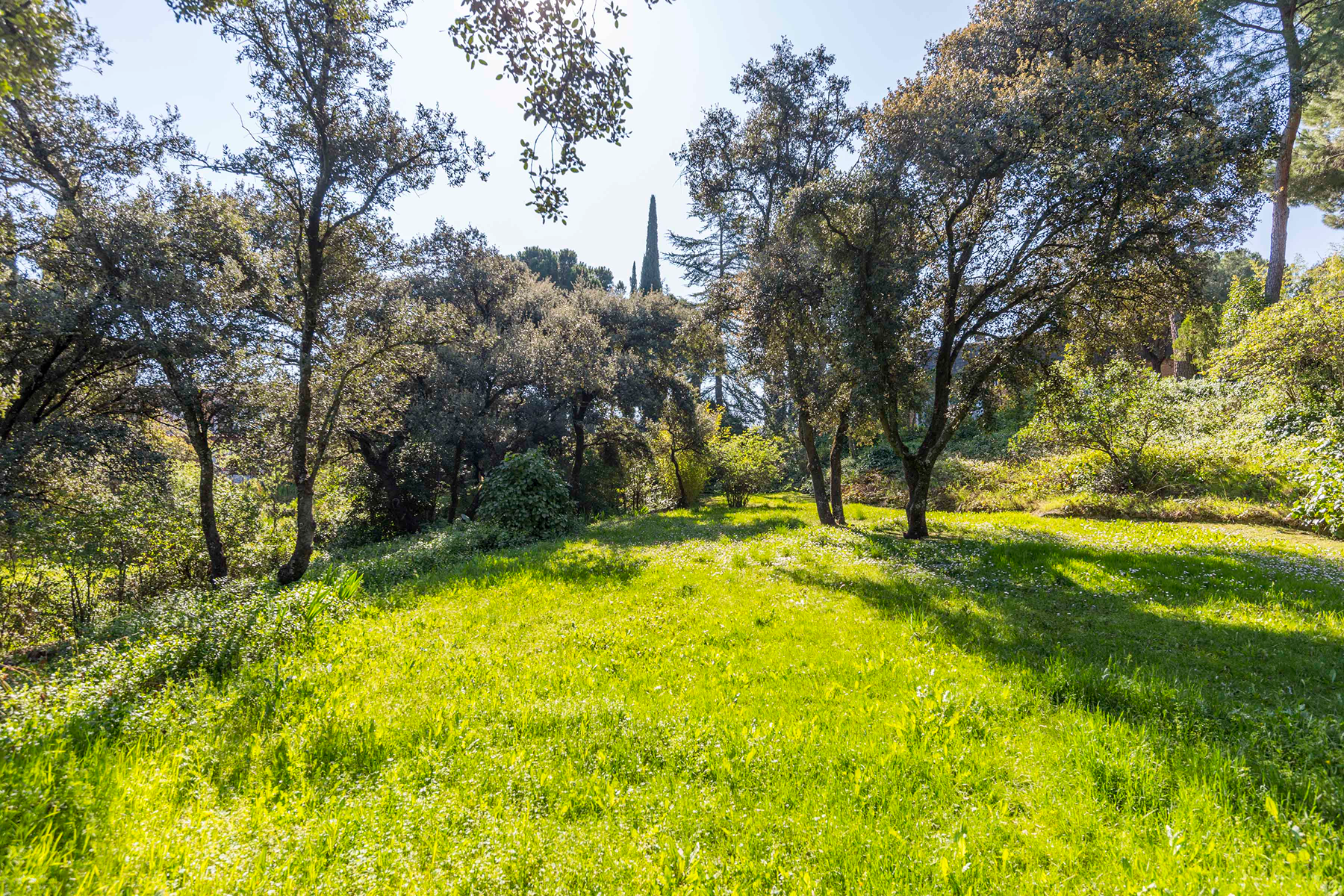  Wonderful hectare plot in La Moraleja - 物件實景