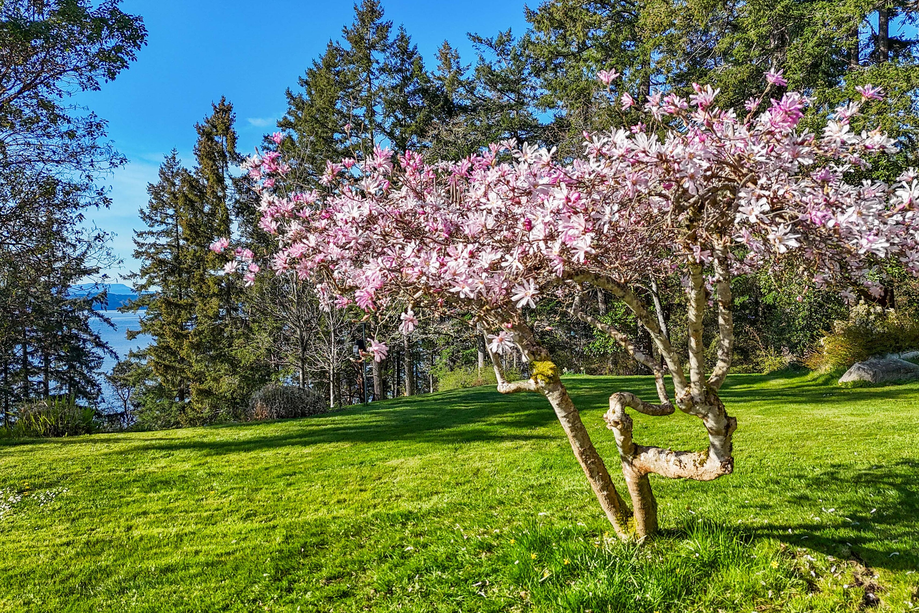  West Coast Oceanfront Living - 物件實景