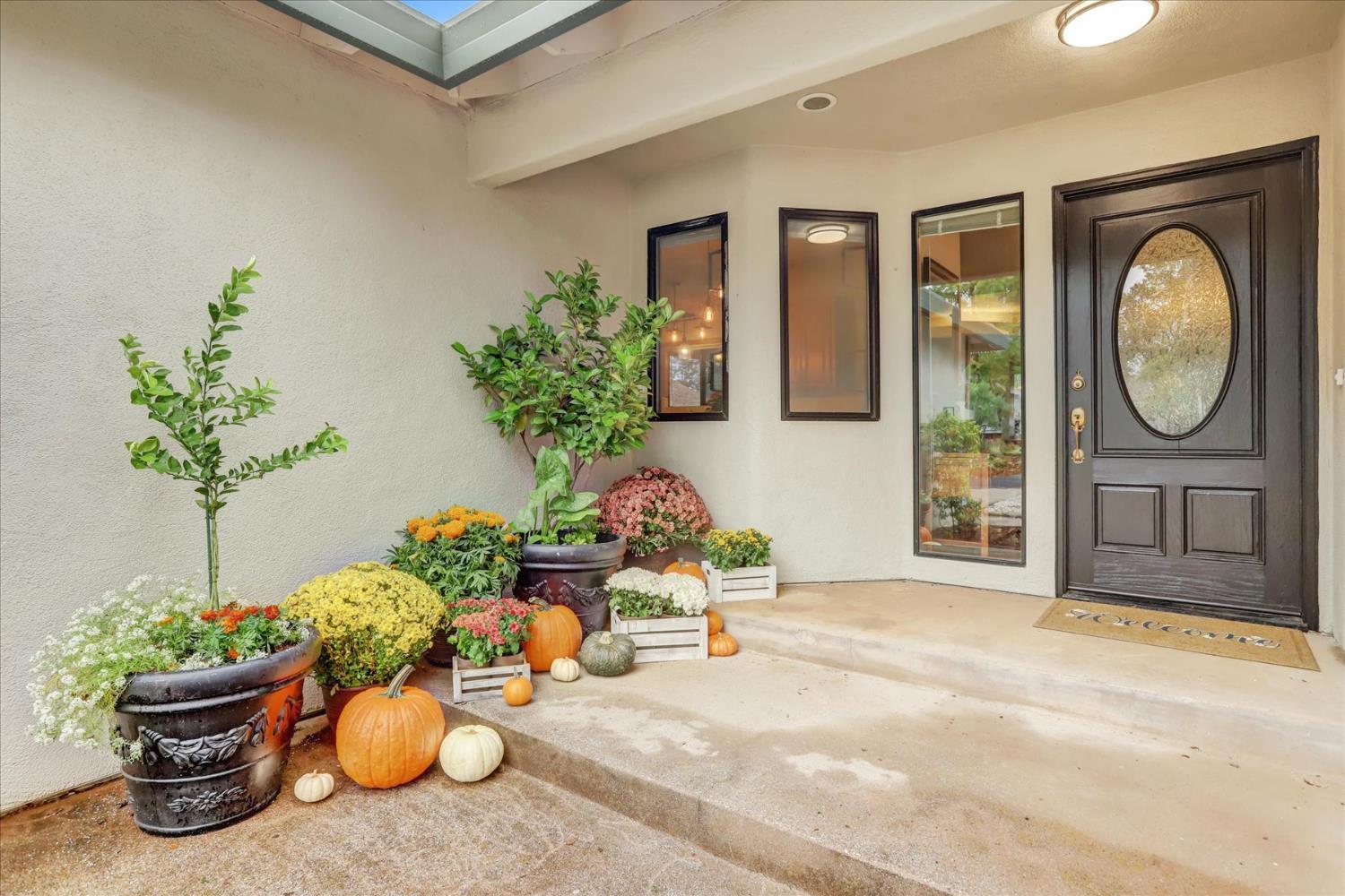 Penn Valley, California, 95946, United States, 3 Bedrooms Bedrooms, ,3 BathroomsBathrooms,Residential,For Sale,1979981