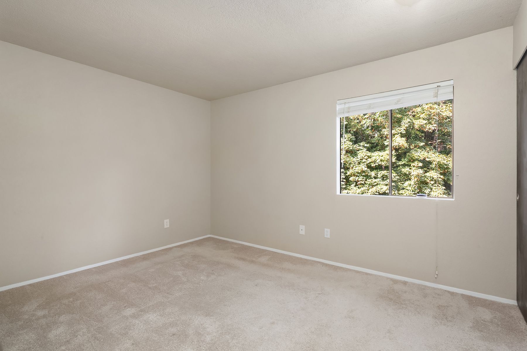  12021 100th Ave NE Unit #C3, Kirkland, WA 98034 - 物件實景