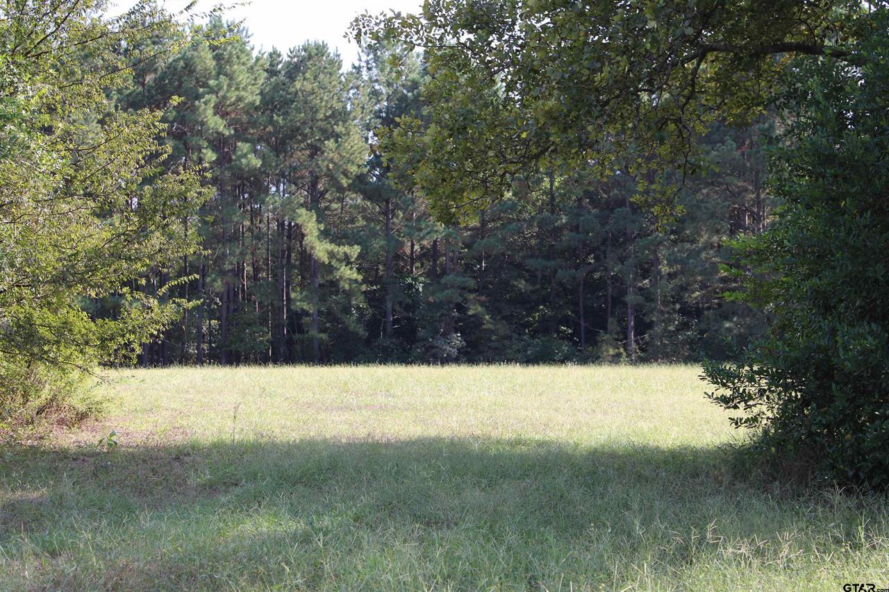 Jacksonville, Texas, 75766, United States, 2 Bedrooms Bedrooms, ,1 BathroomBathrooms,Residential,For Sale,1984164