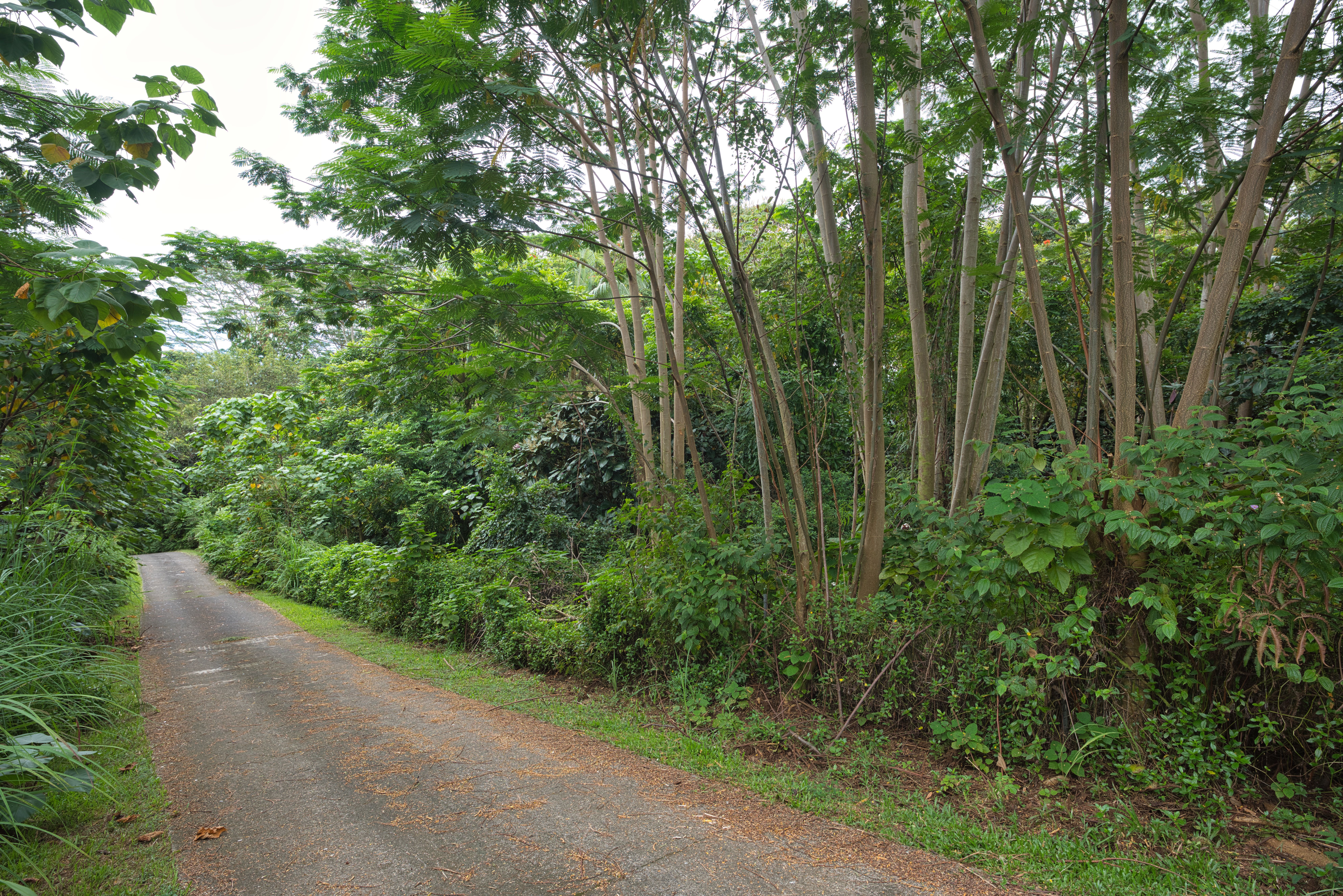  27-2430 Hawaii Belt Rd, Papaikou, HI, 96781 - 物件實景