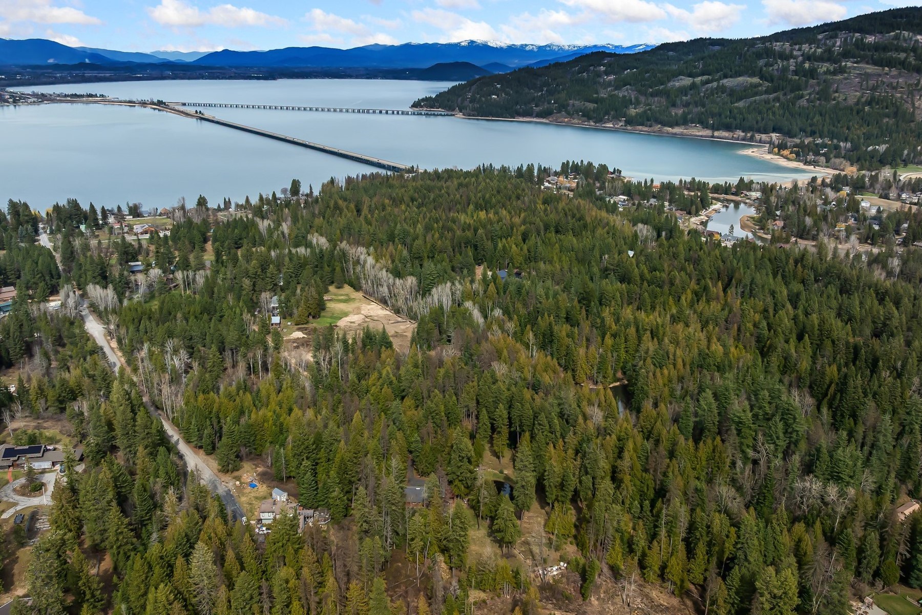  Tree Farm & Home on 6+ Acres - 物件實景