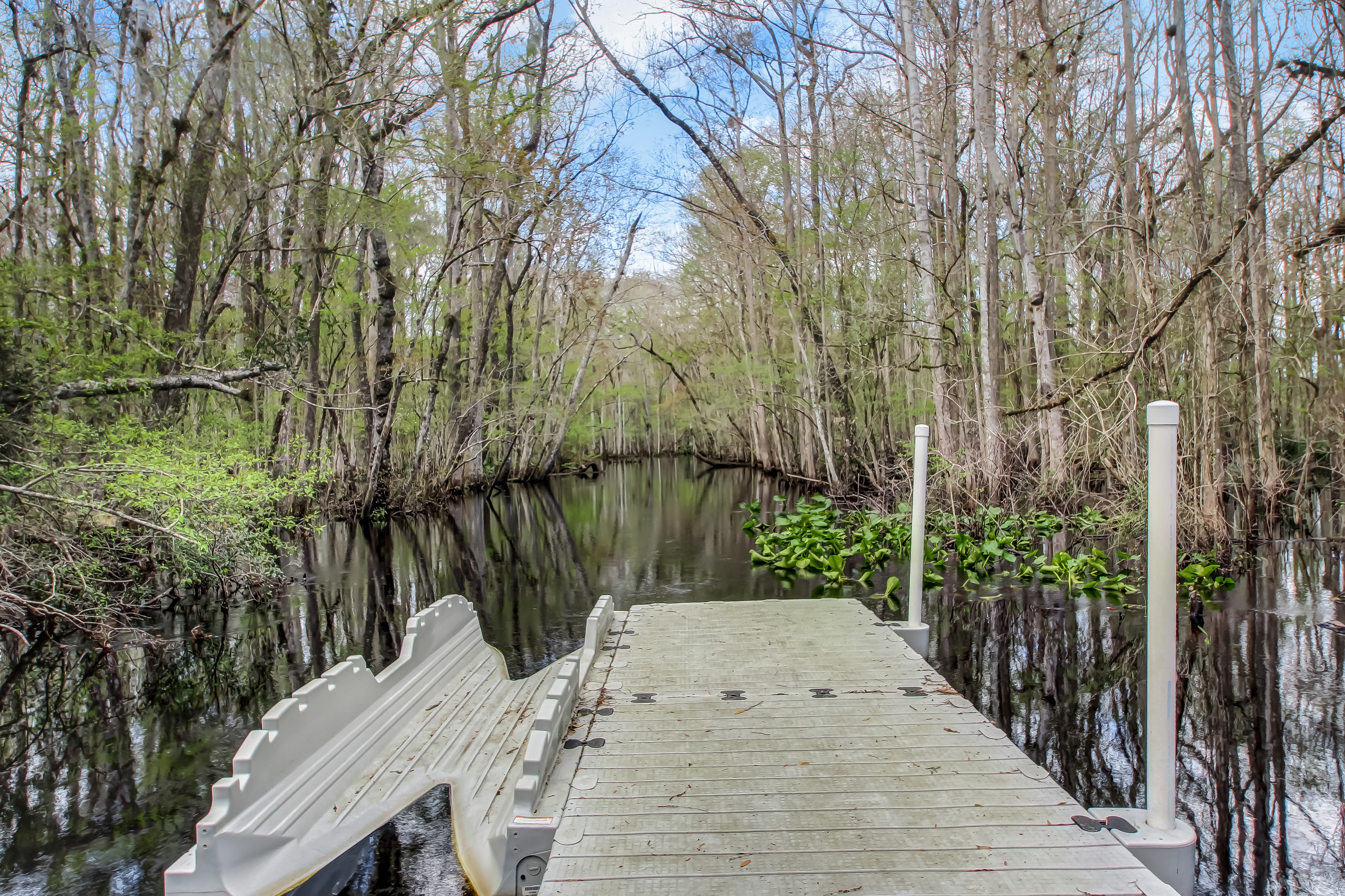  141 Linsbury Court, St. Augustine, FL, 32092 - 物件實景